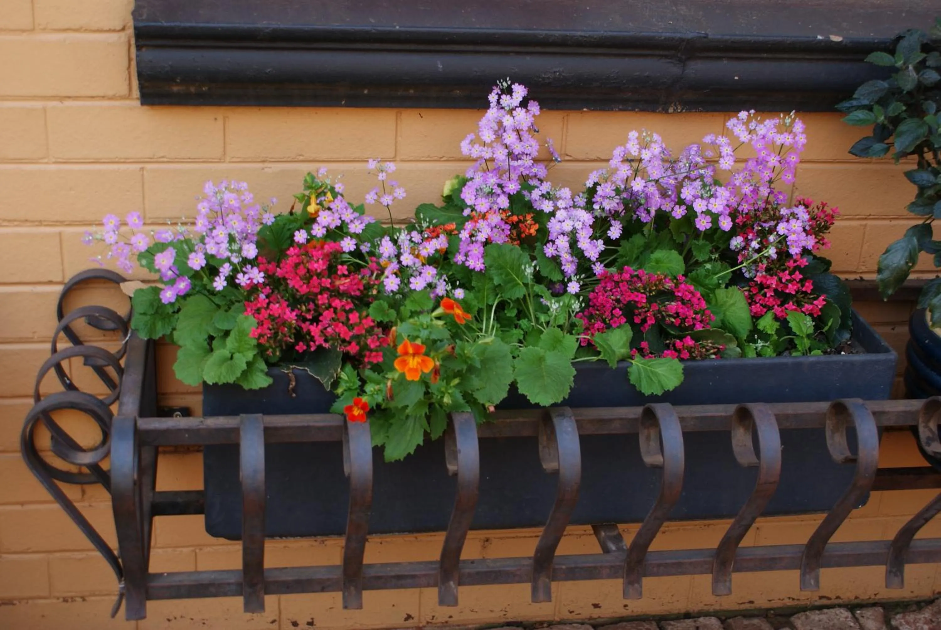 Decorative detail in Hampton House Guest House