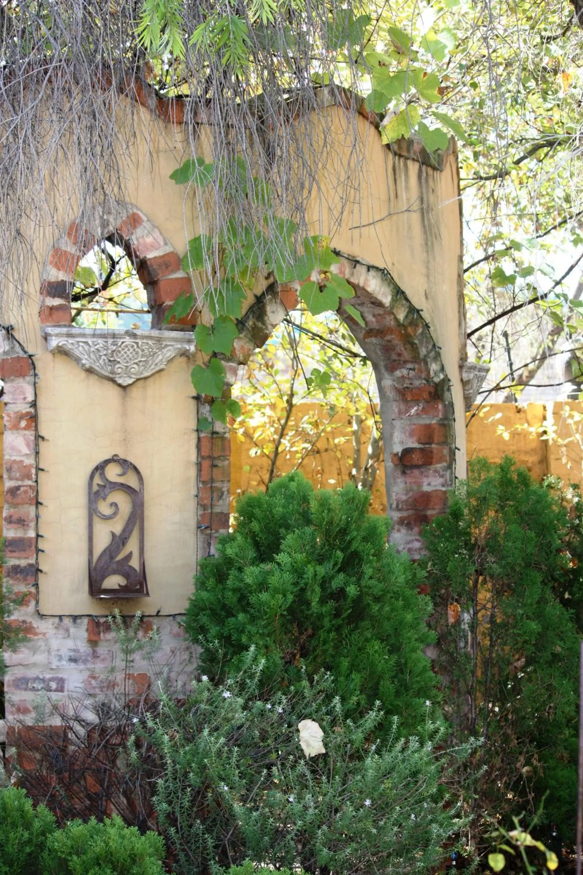 Natural landscape in Hampton House Guest House