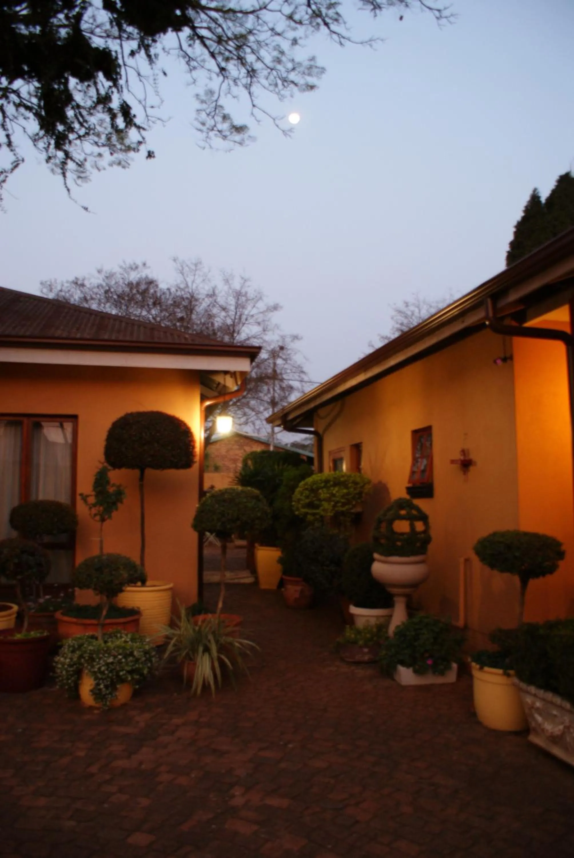 Garden in Hampton House Guest House