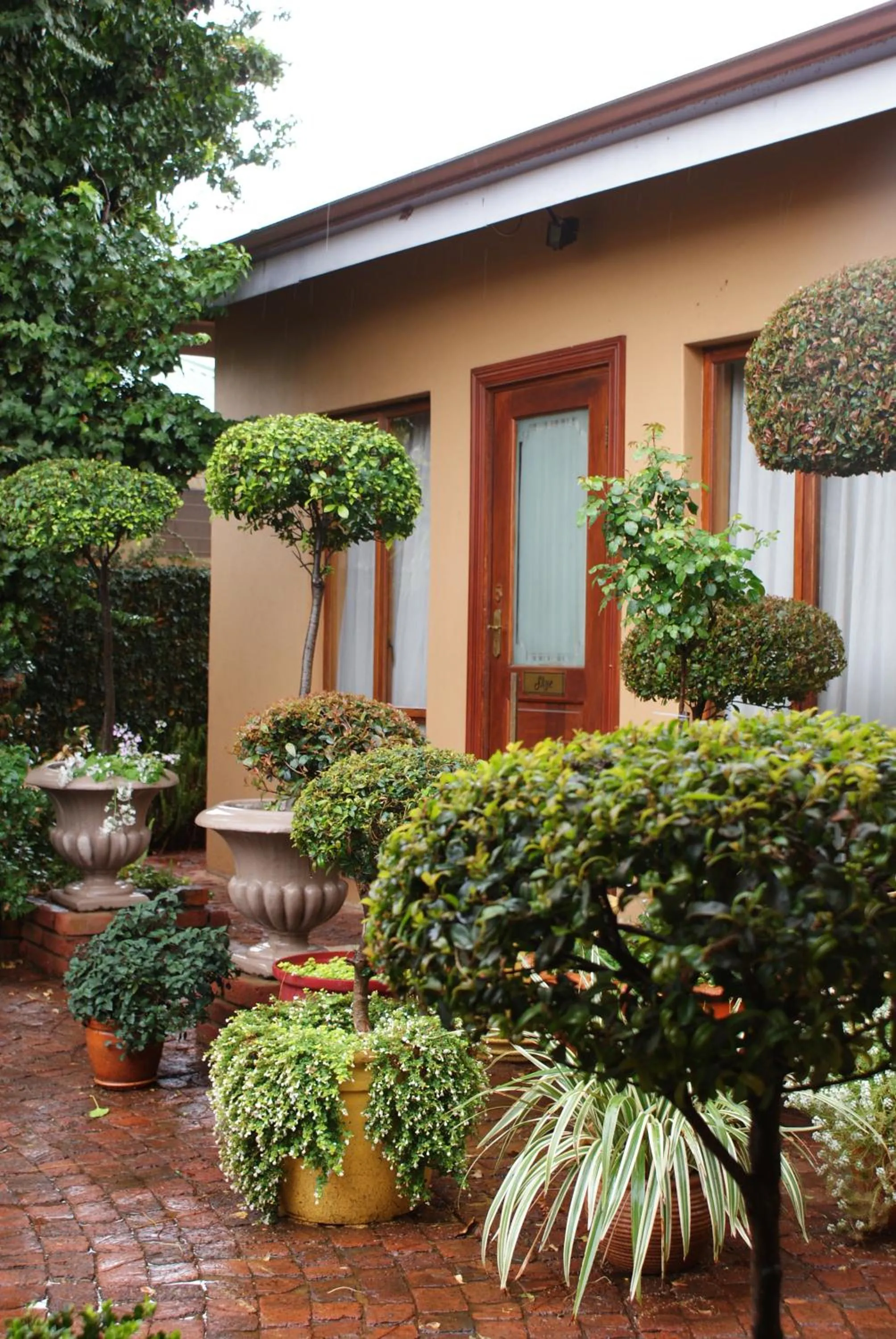 Garden in Hampton House Guest House