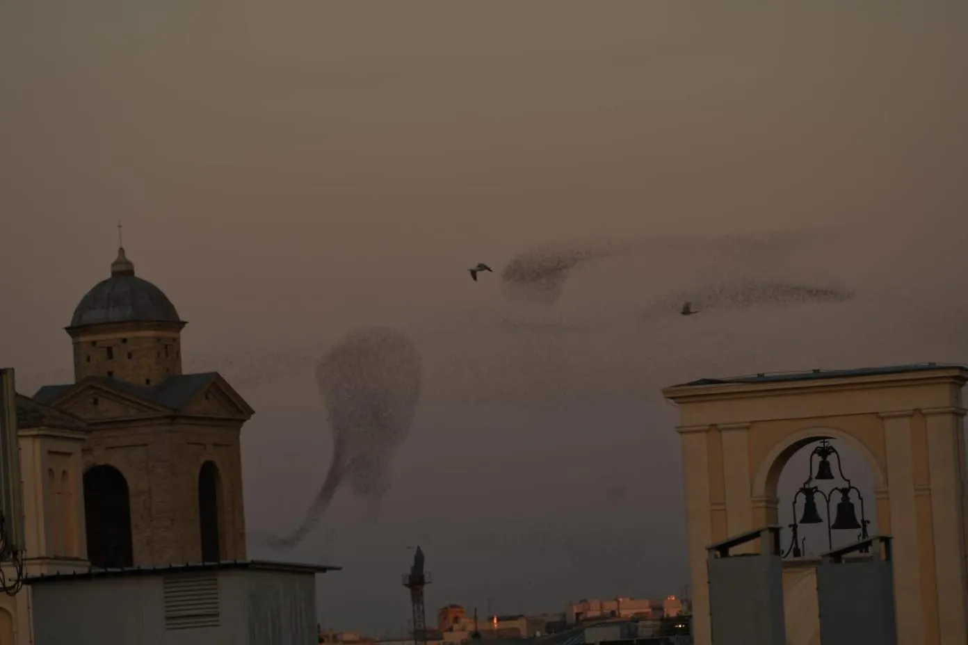 Nearby landmark in Relais Arco Della Pace