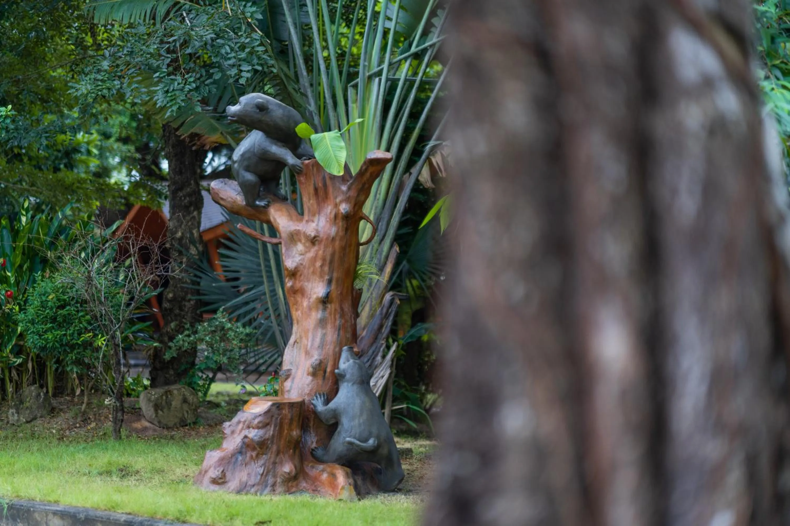 Area and facilities in Wonderland Suites and Resort