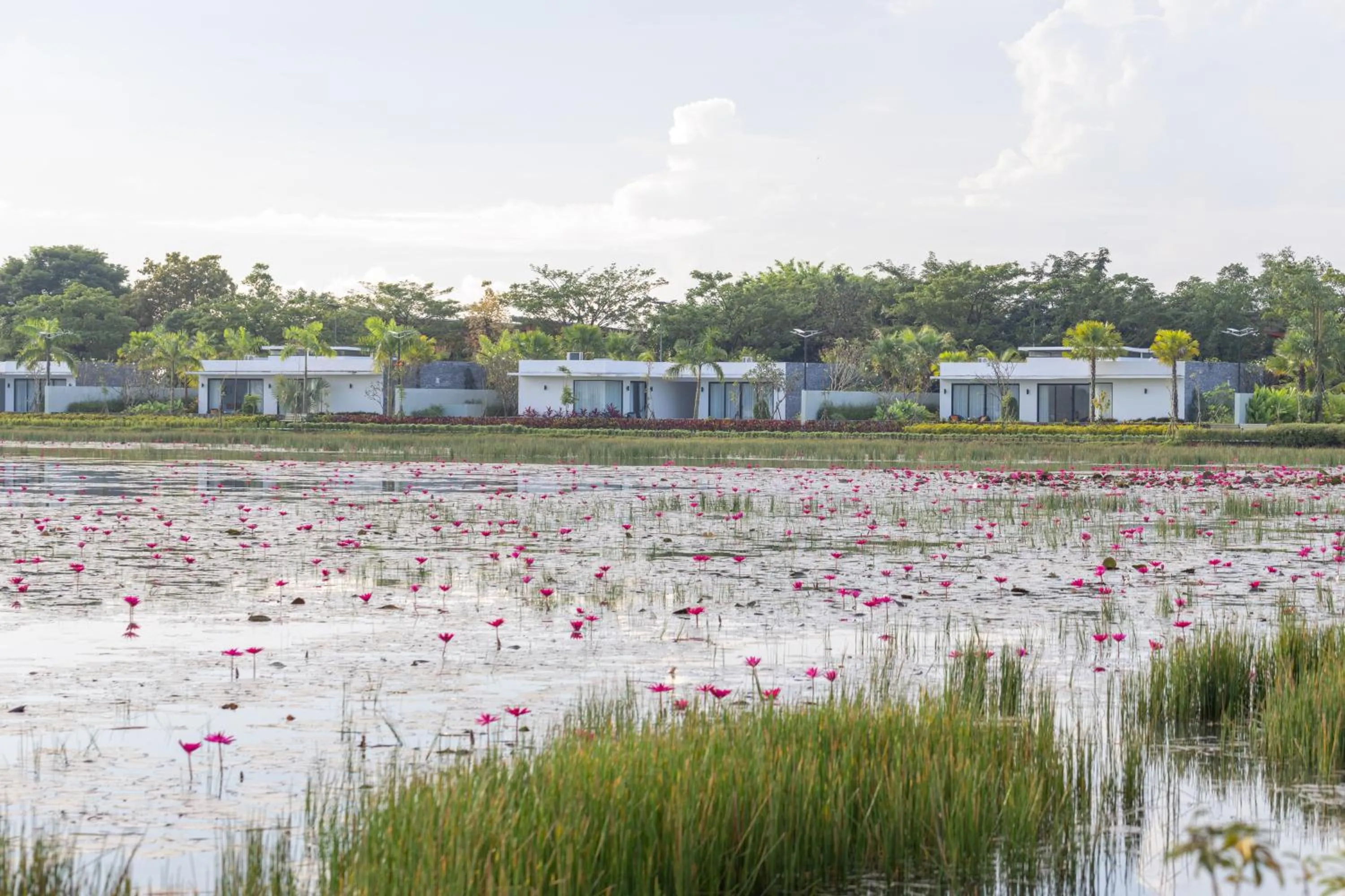 Lake view in Wonderland Suites and Resort