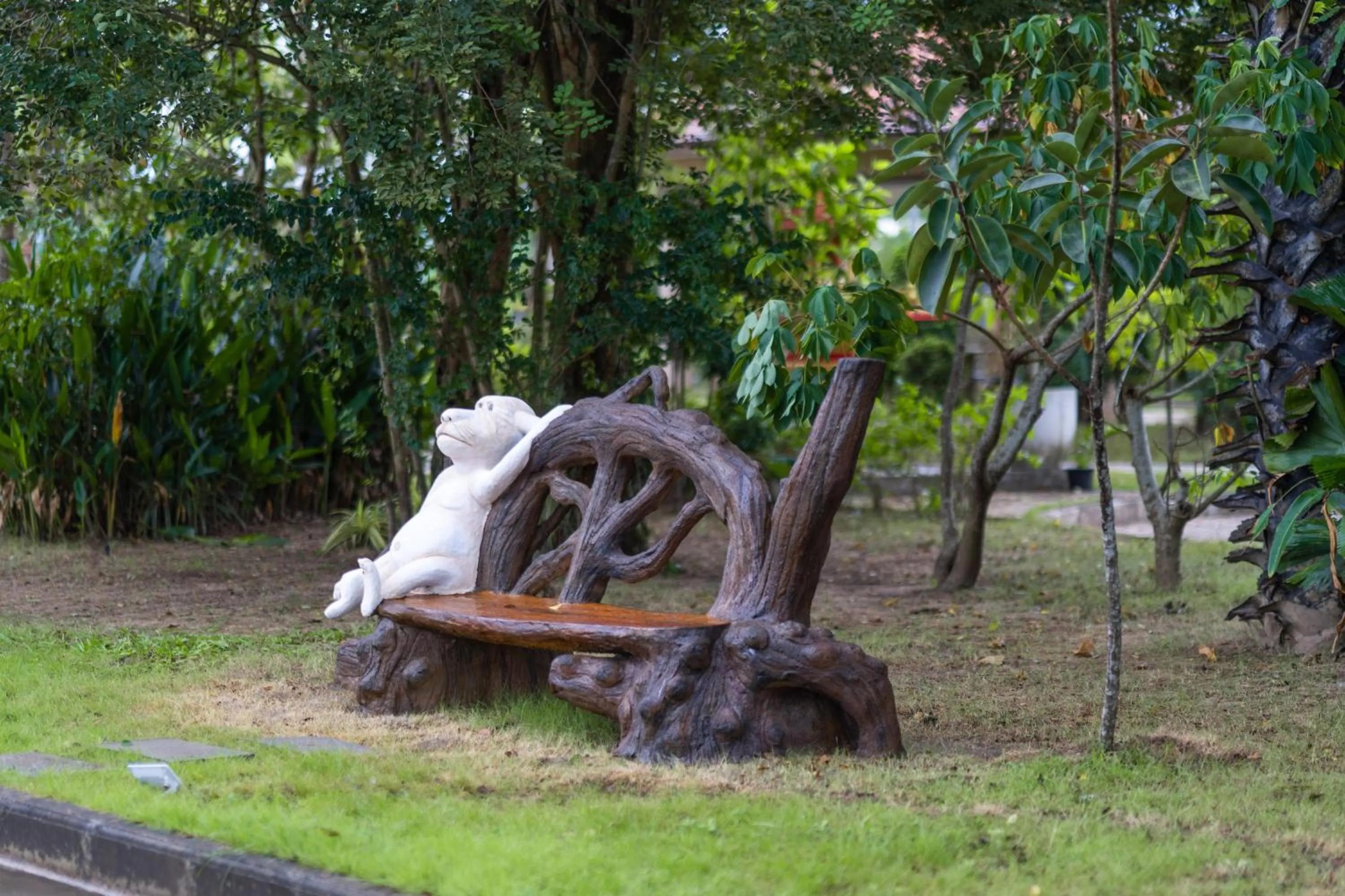 Area and facilities in Wonderland Suites and Resort