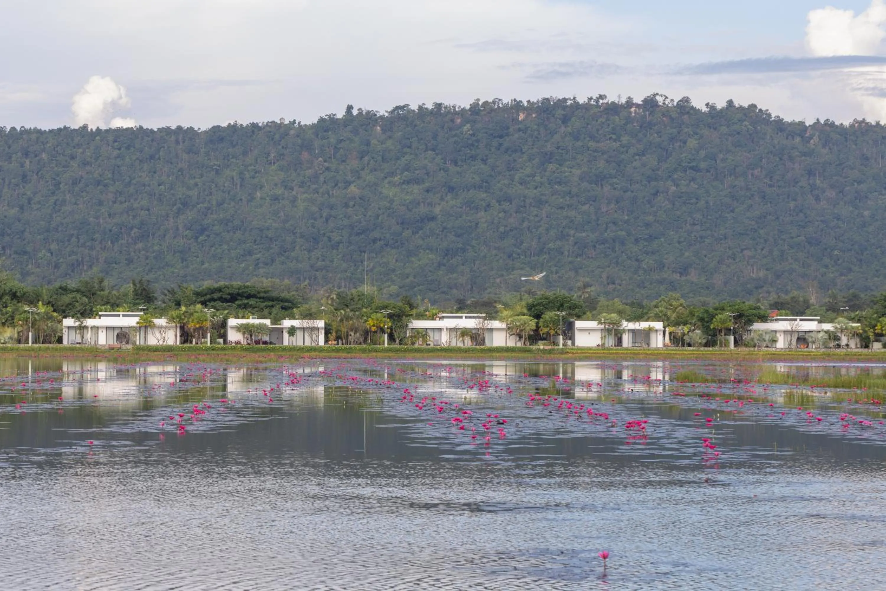 Lake view in Wonderland Suites and Resort
