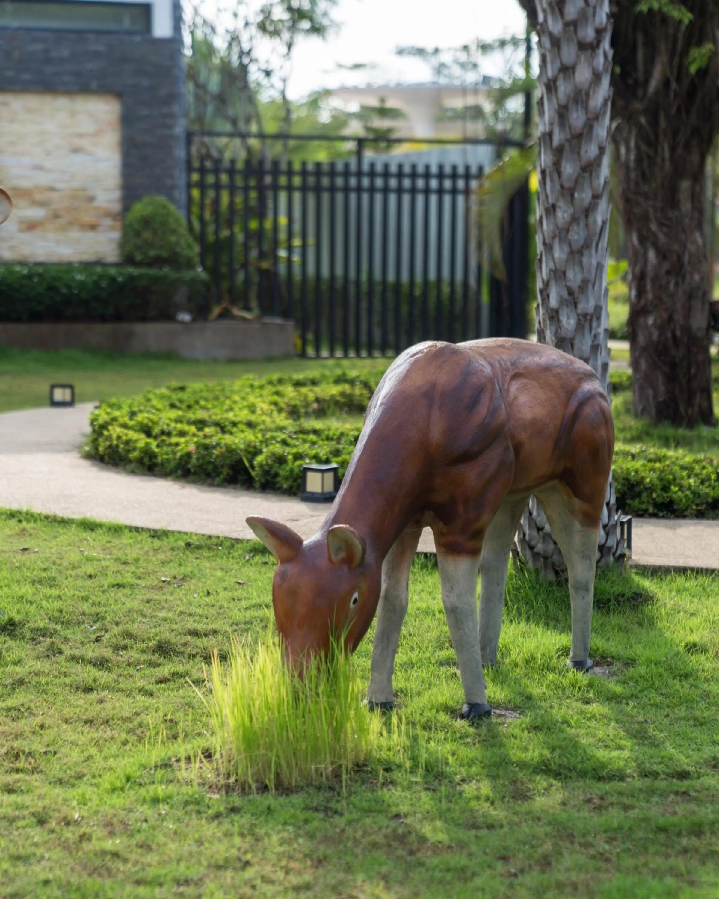 Animals in Wonderland Suites and Resort