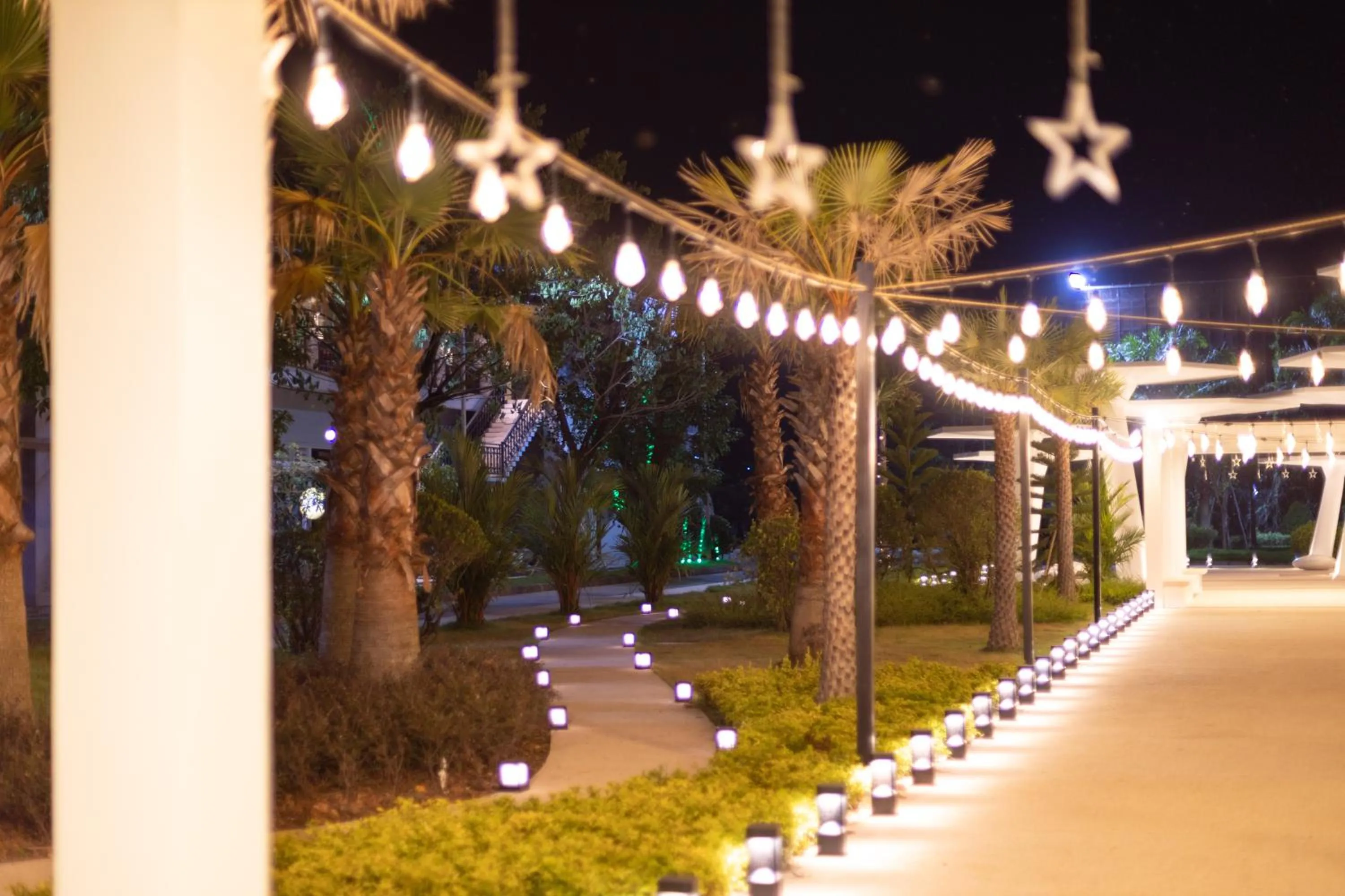 Night in Wonderland Suites and Resort