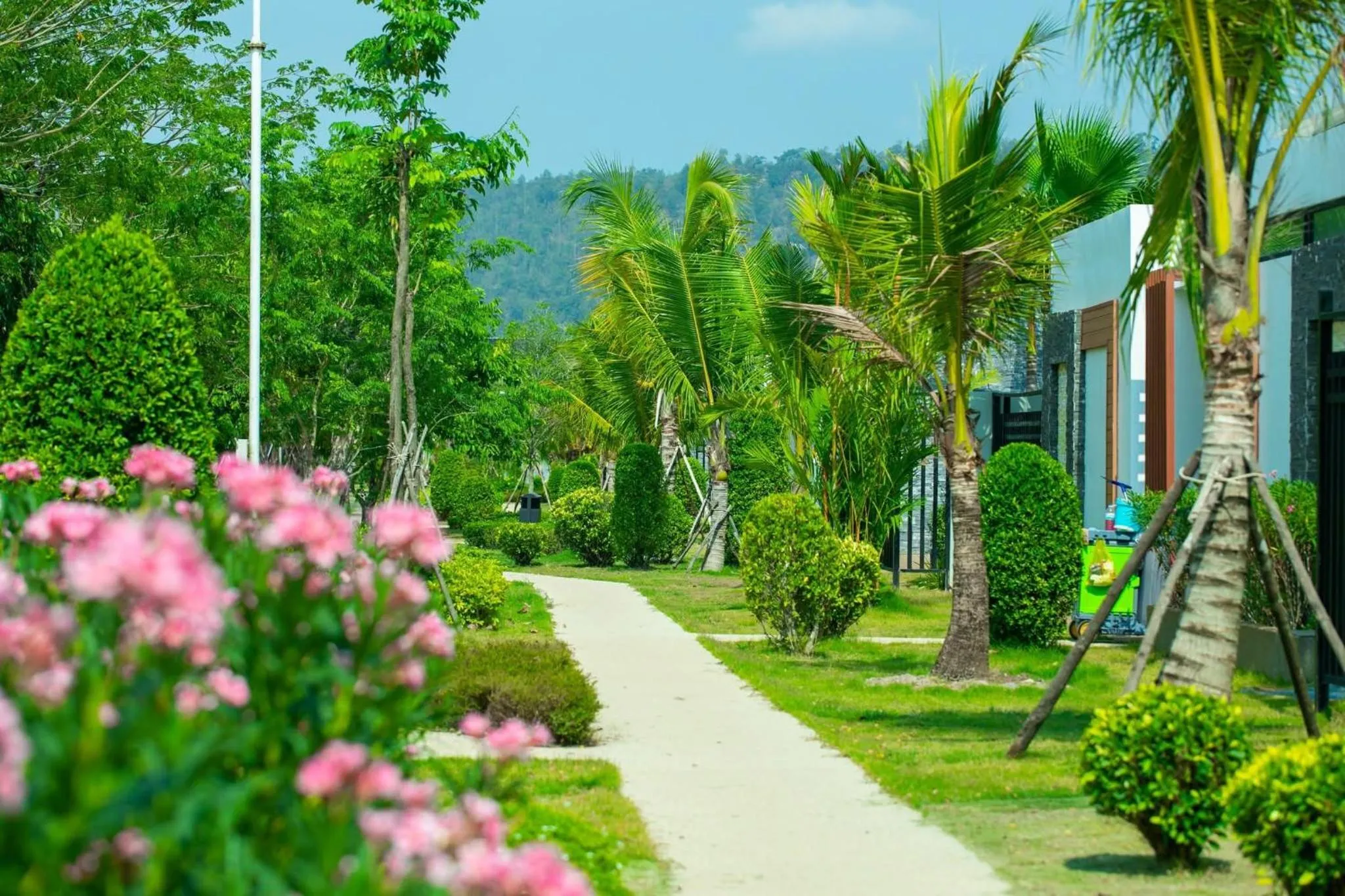 Street view in Wonderland Suites and Resort