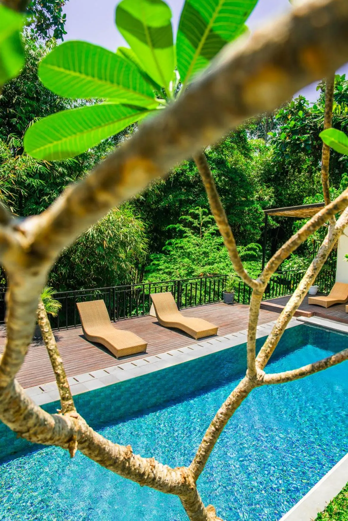 Swimming pool in Bali Invest Living