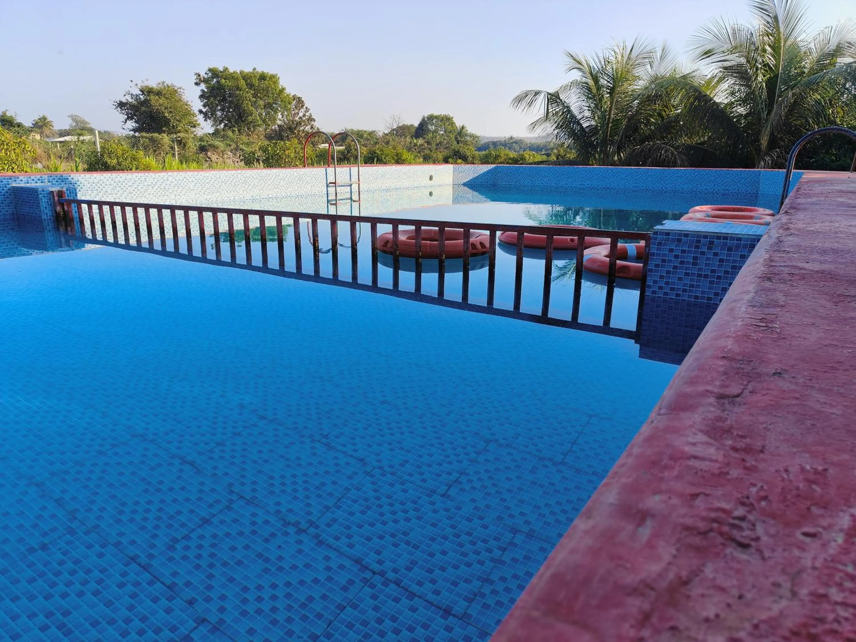 Swimming pool in Gokul farm house