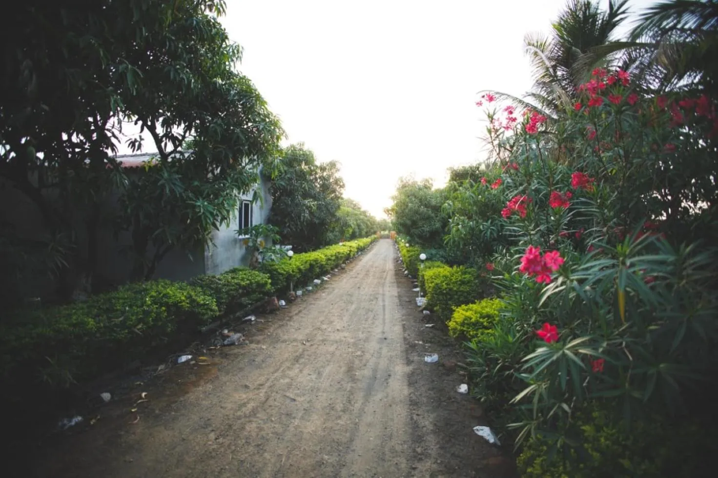 View (from property/room) in Gokul farm house