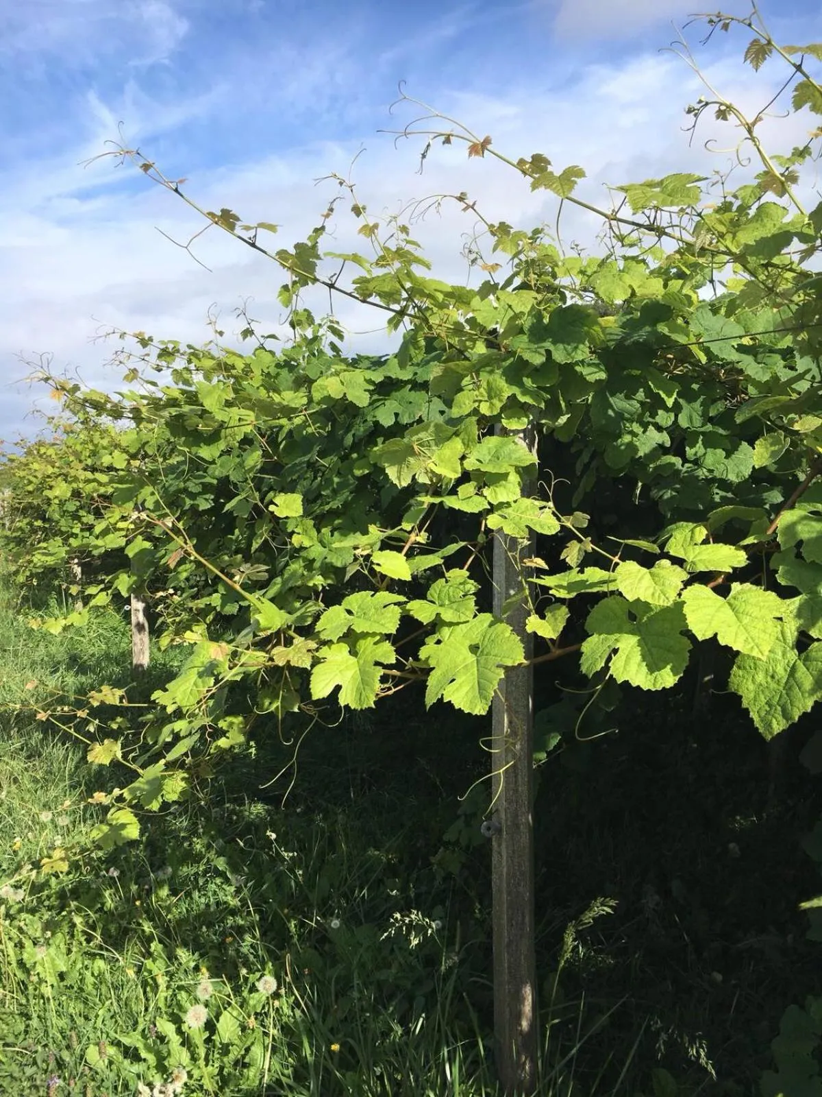 Hiking in Gazteategi