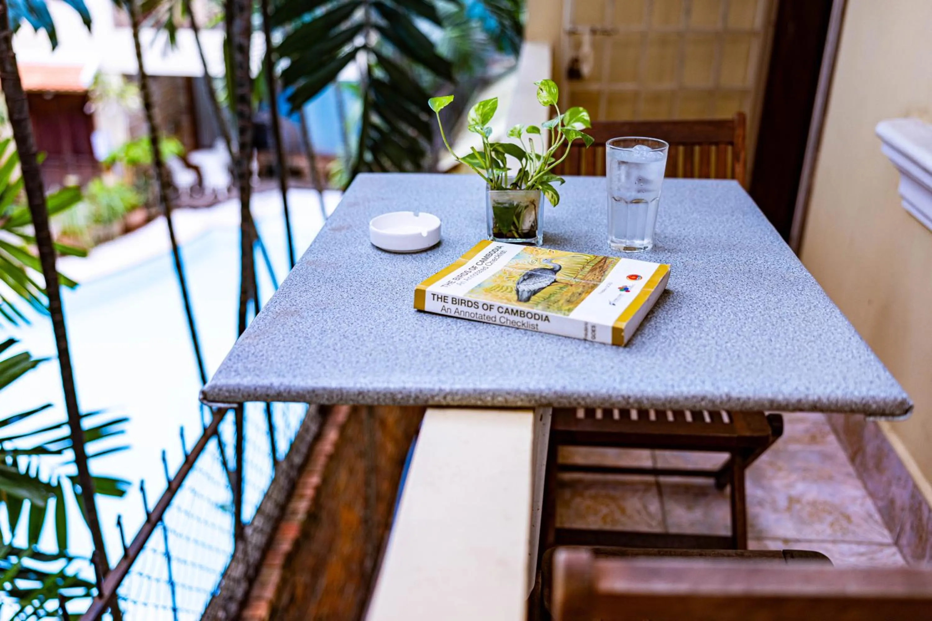 Balcony/Terrace in Villa Grange