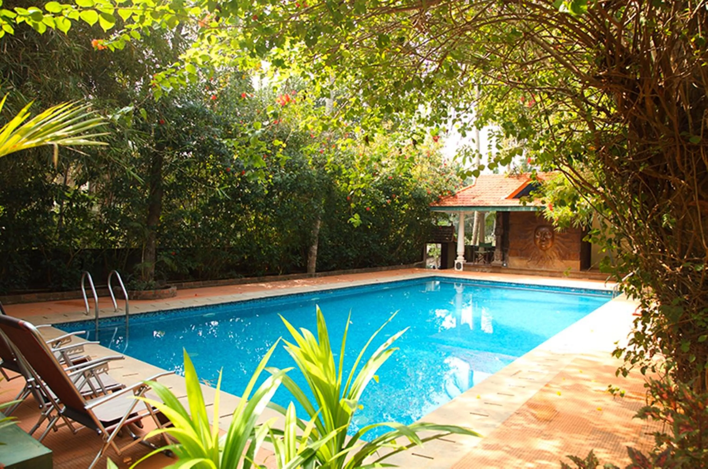 Swimming pool in Amrutham Ayurvedic Village Resort