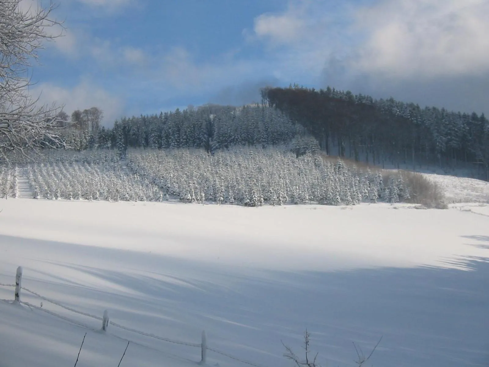 Gasthaus Wollmeiner