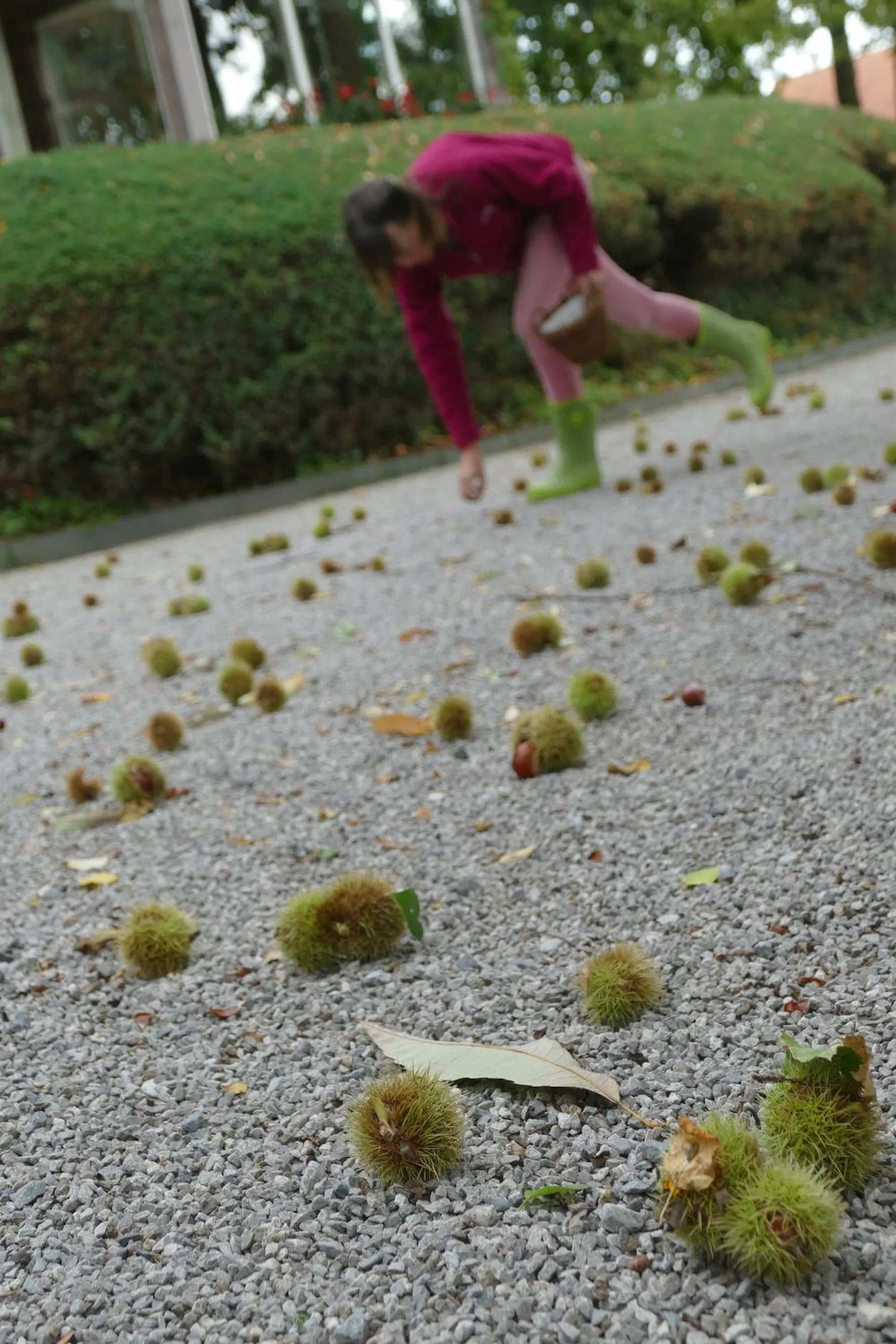 Garden in B&B Villa Emma