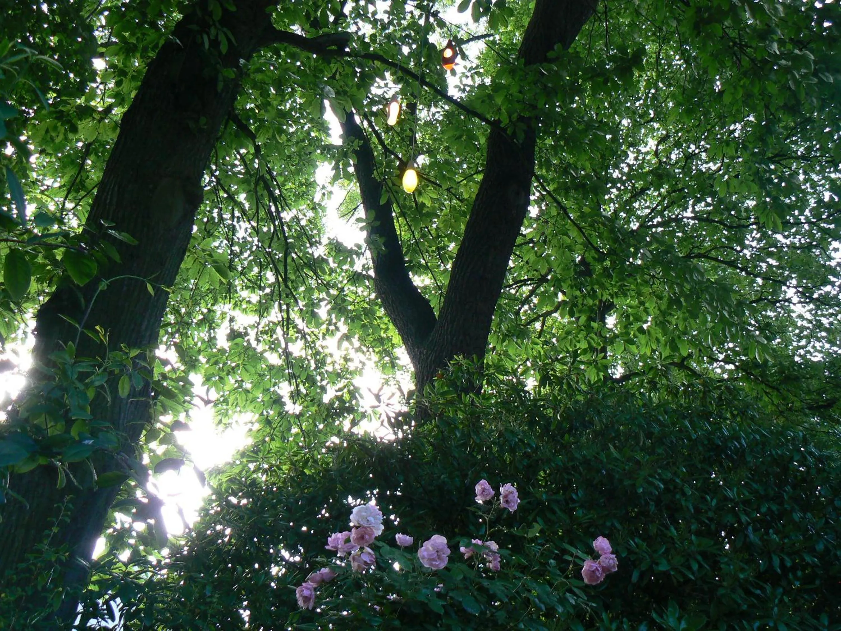 Spring in B&B Villa Emma