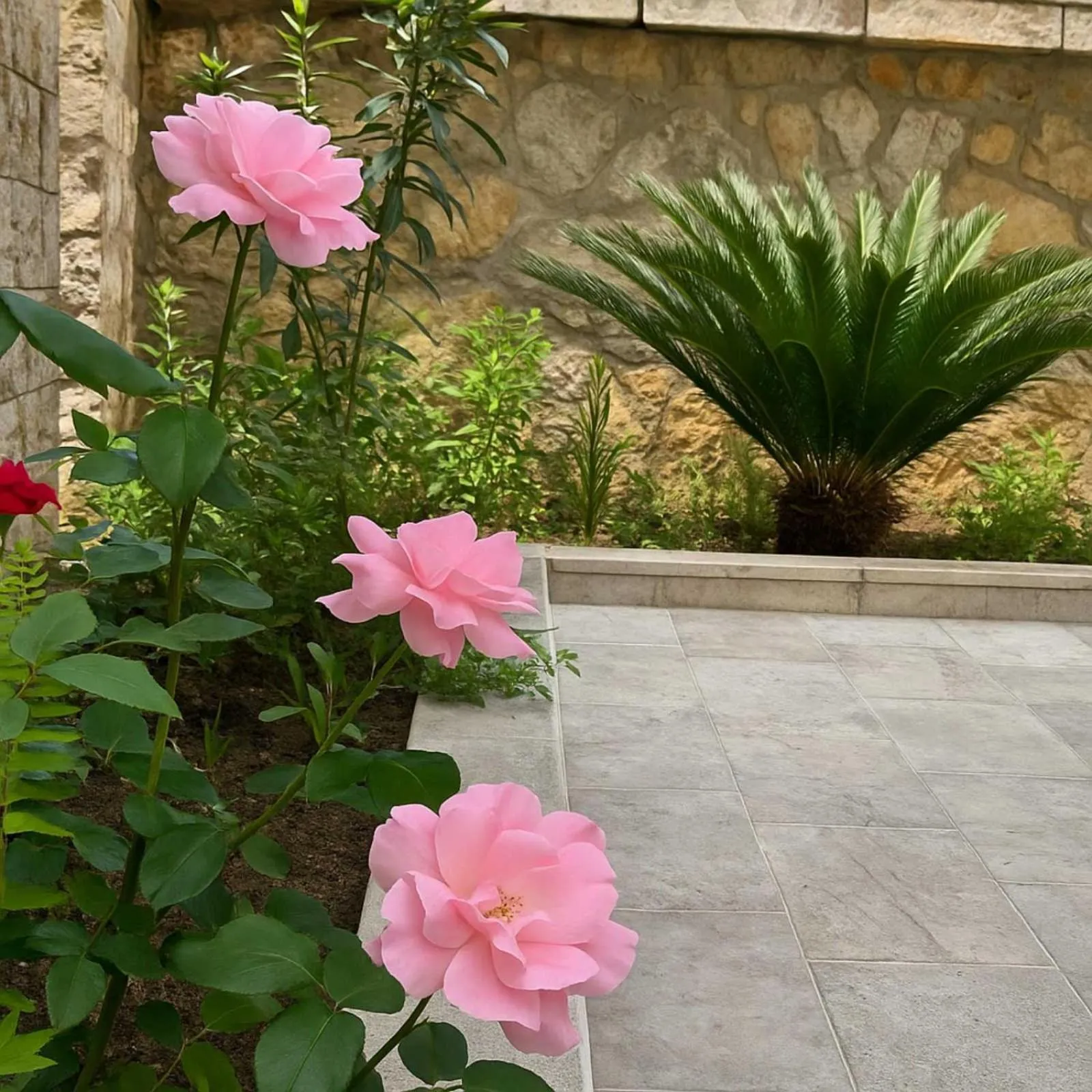 Apartments Villa Mirjana