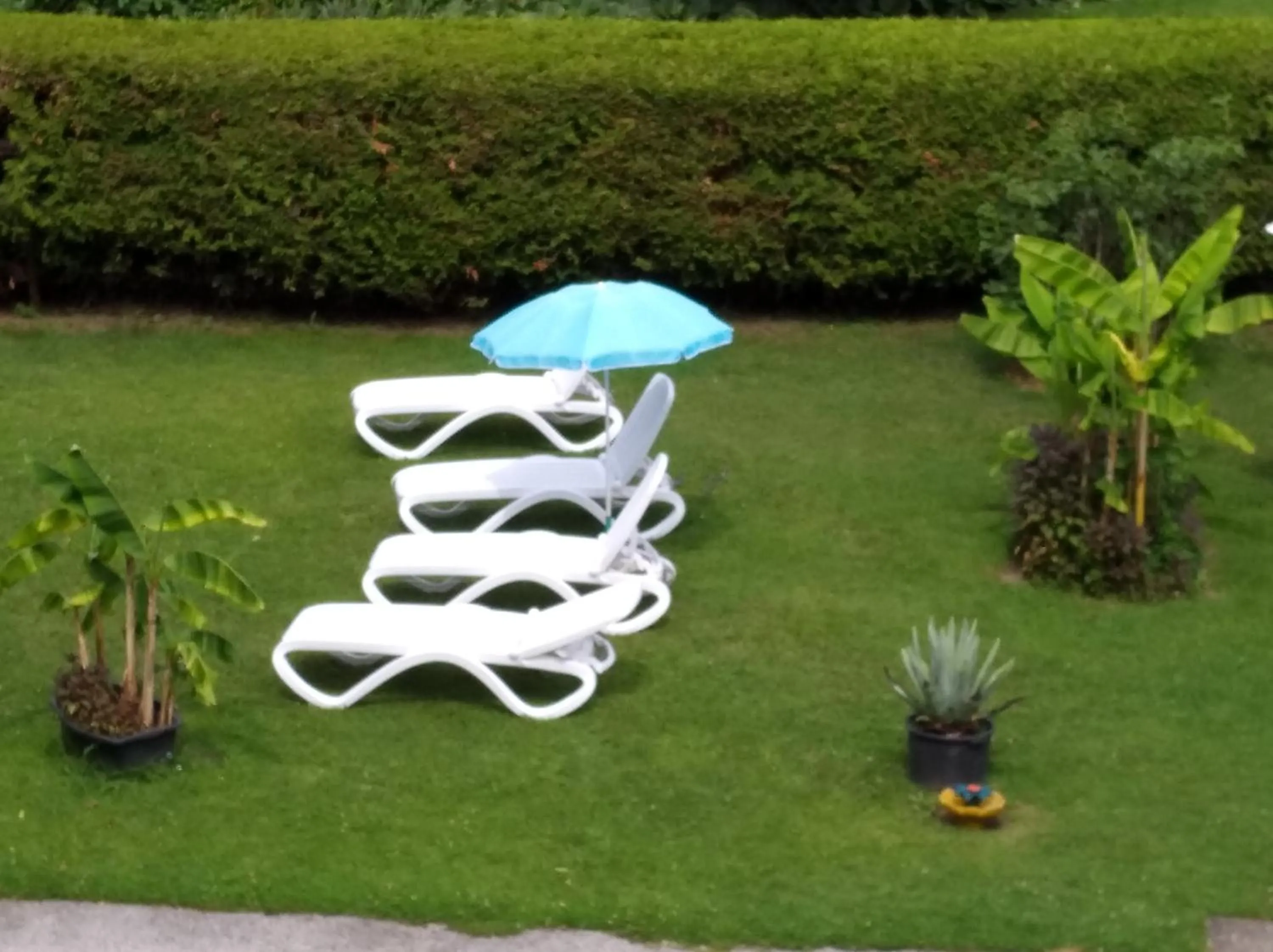 Garden in Haus Friedburg