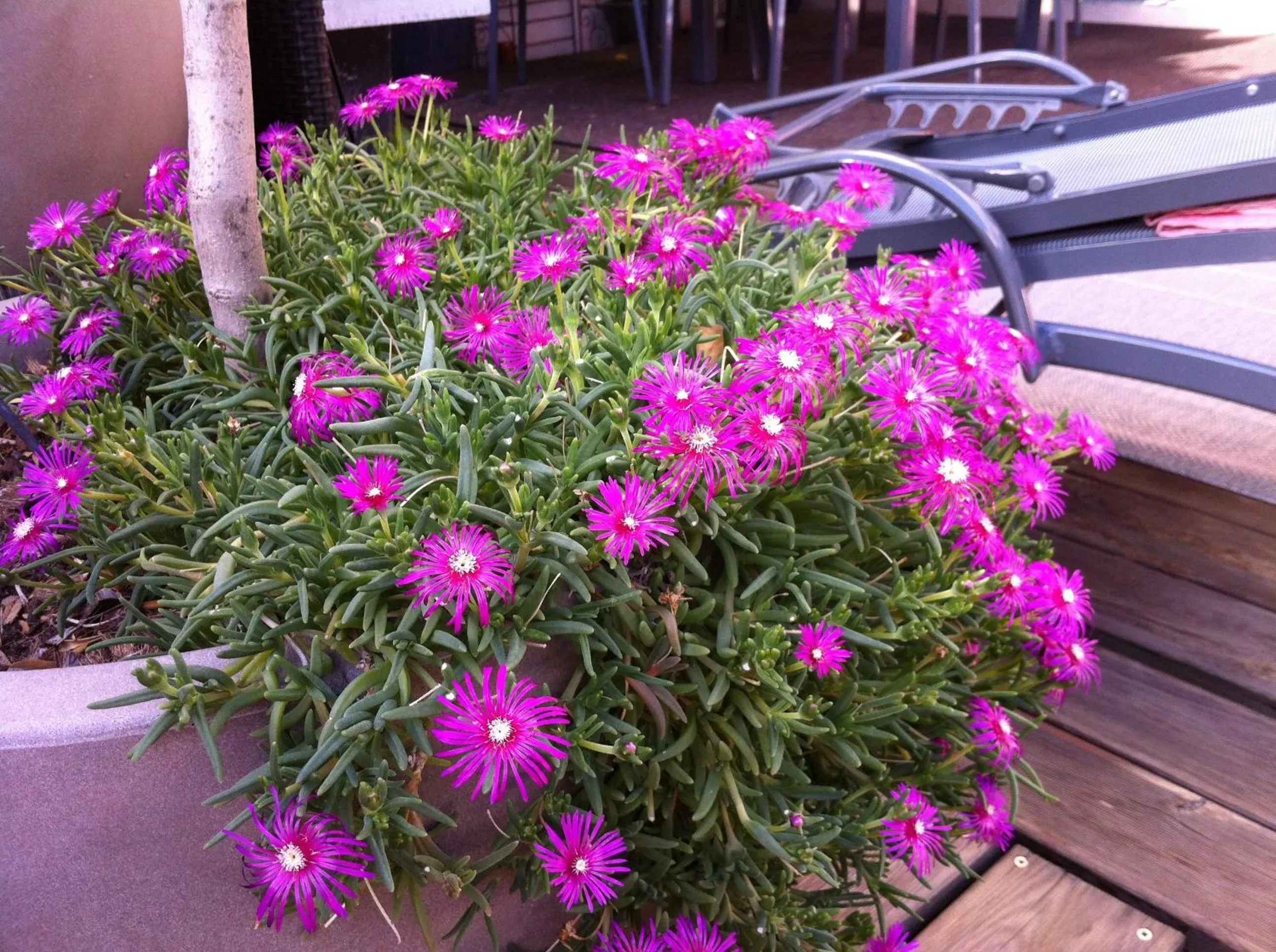 Decorative detail in B&B - Chambres d'hôtes Le Foch
