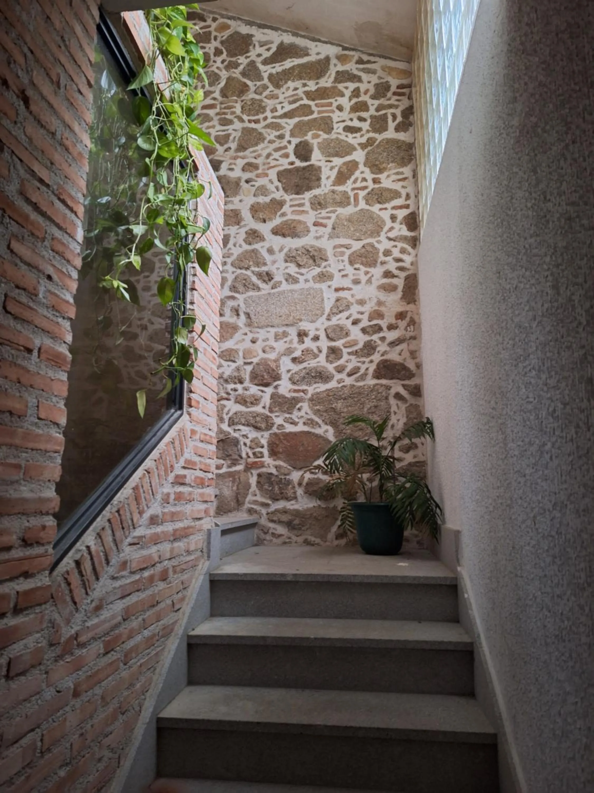 Hostal el patio restaurante