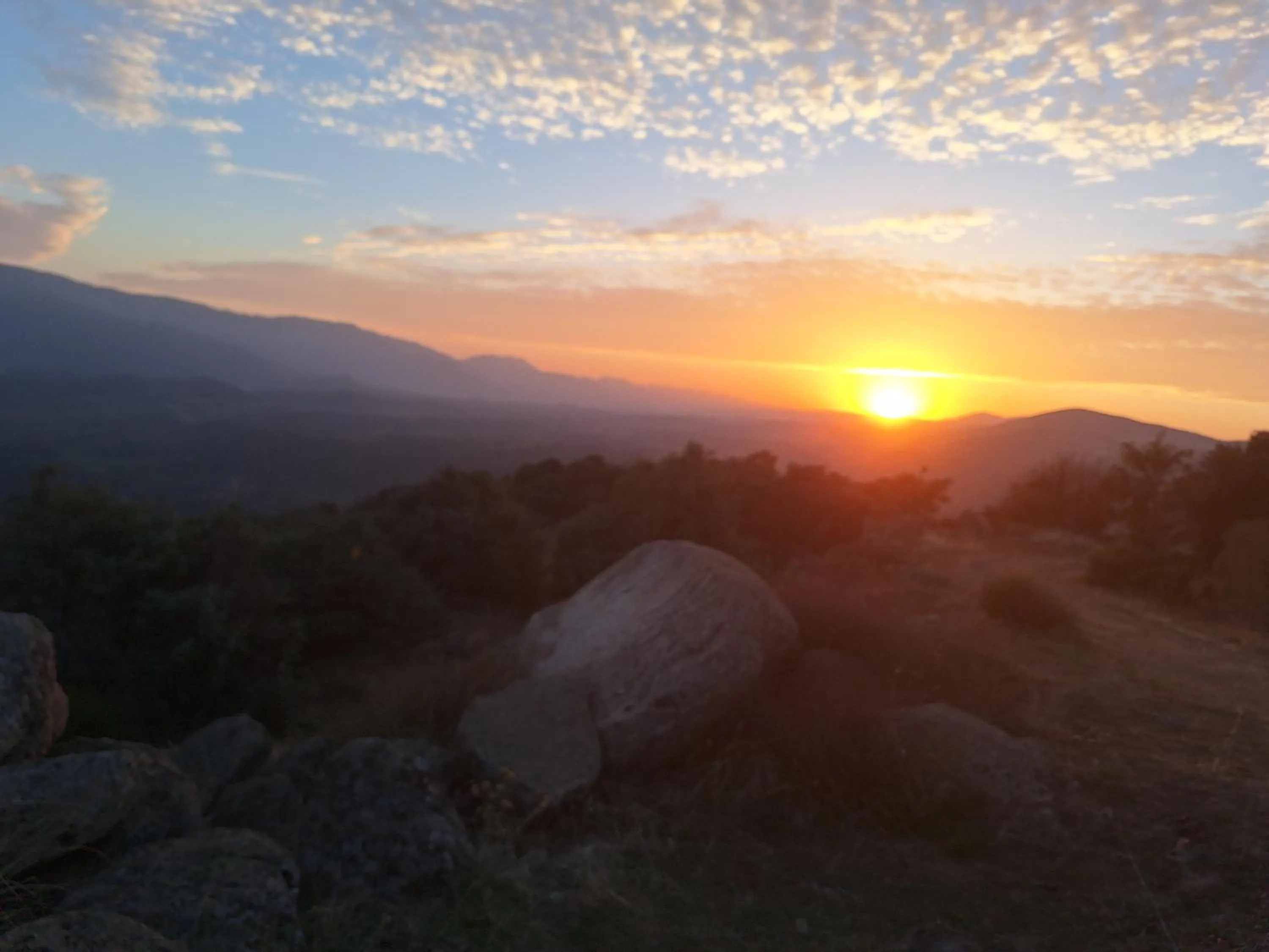 Hostal el patio restaurante