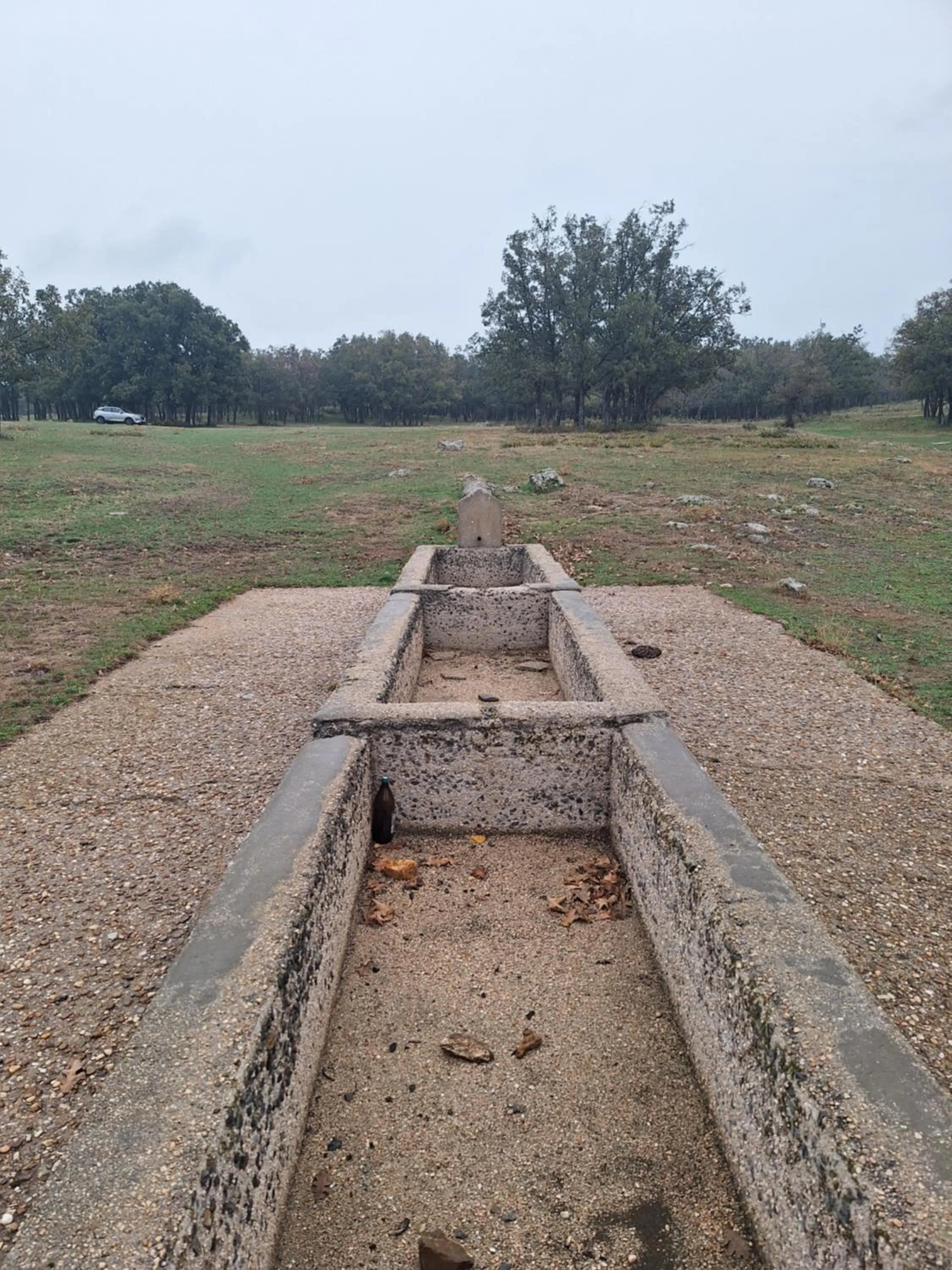 Hostal el patio restaurante