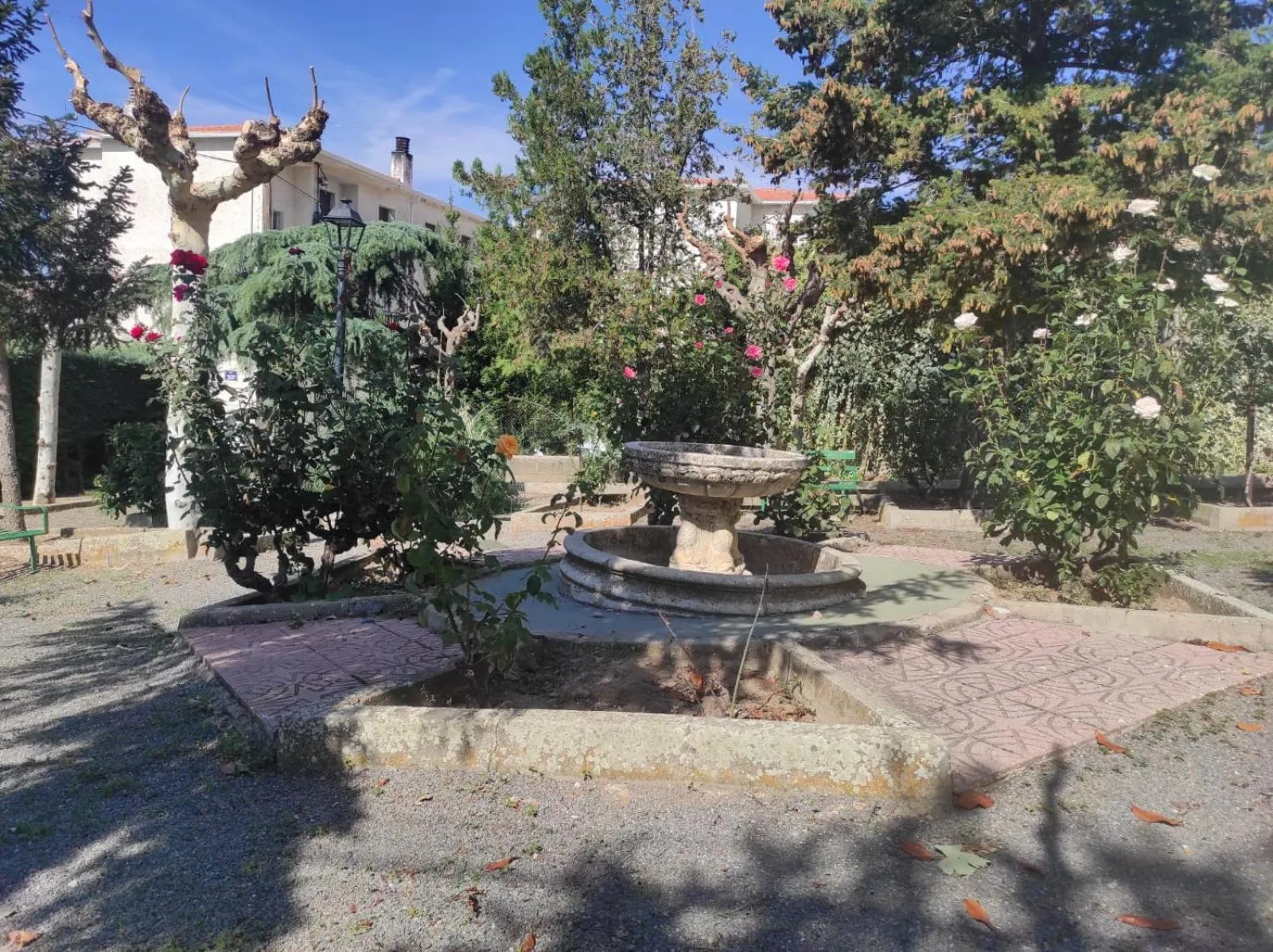 Hostal el patio restaurante