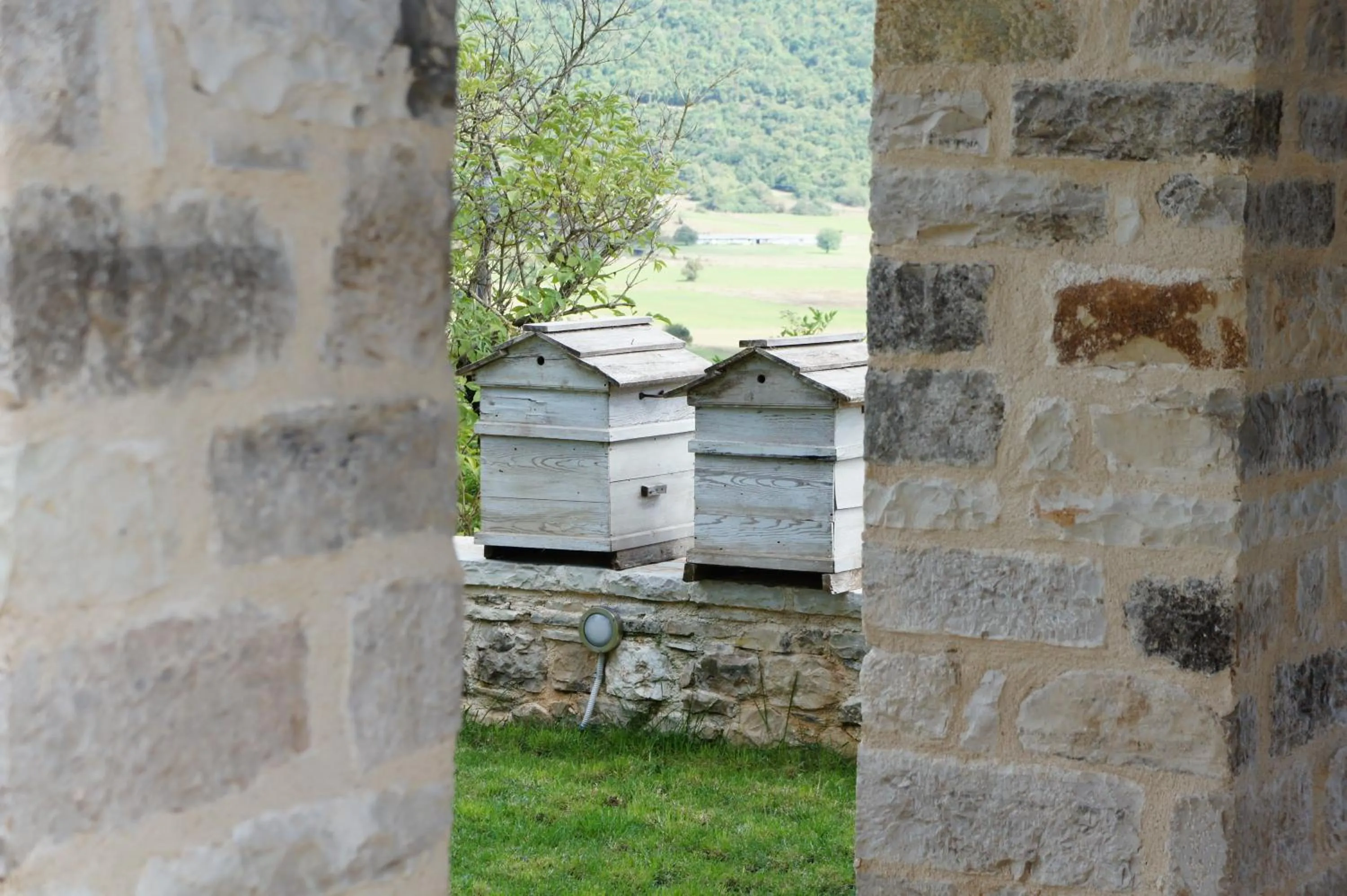 Day in "Apeiros Chora" Hotel, Zagori