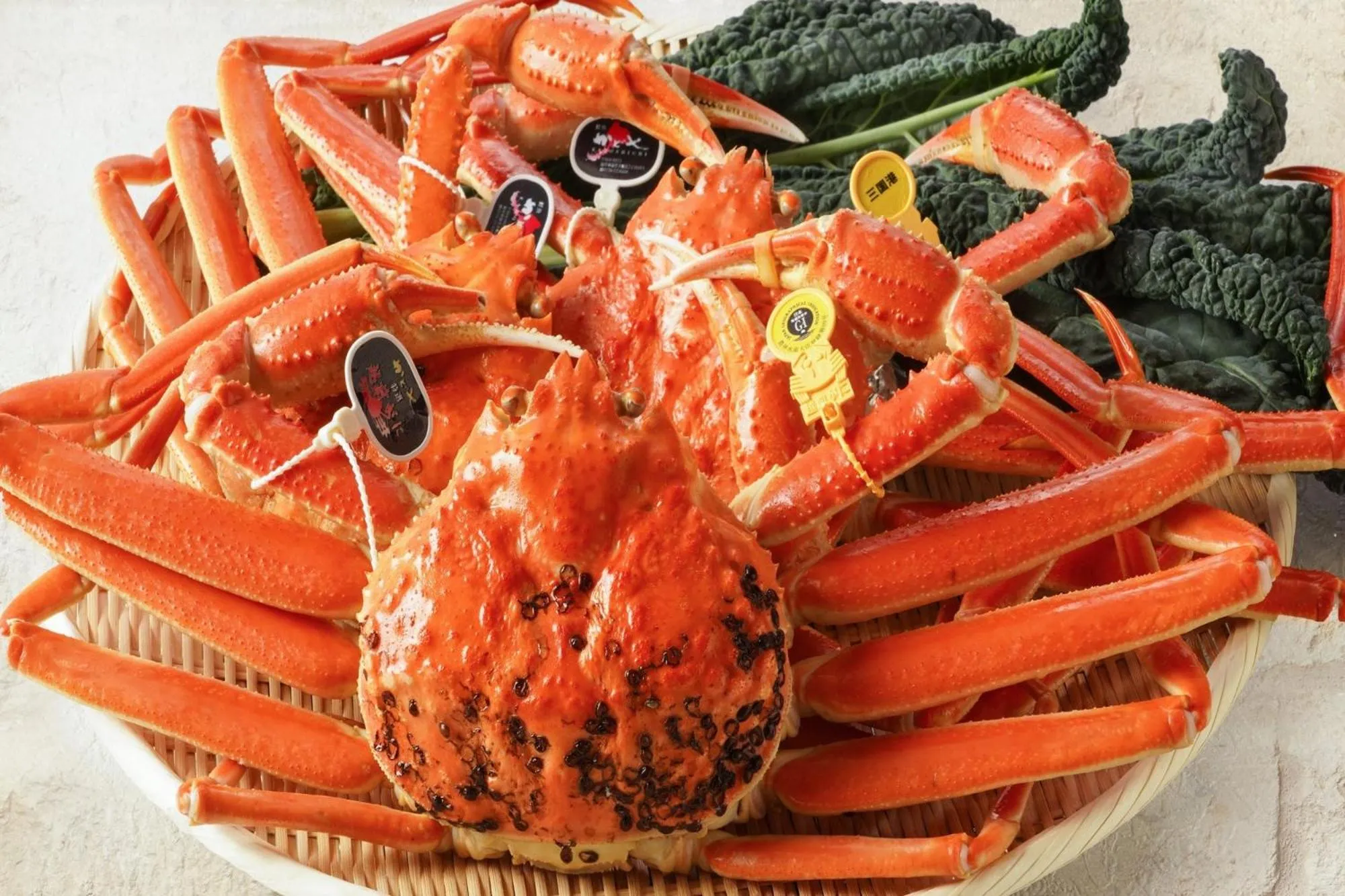 Dinner in Auberge Homachi Mikuniminato