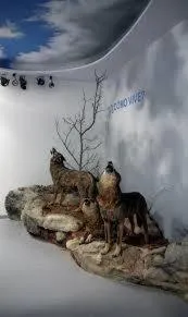 Entertainment in Alojamiento Calzada Romana