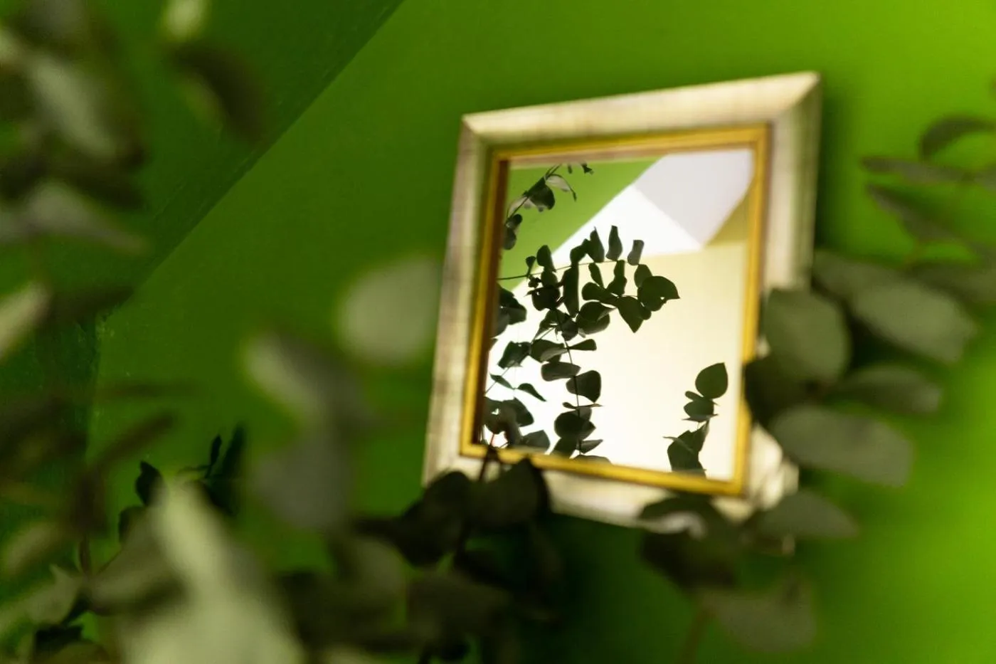 Logo/Certificate/Sign in Alojamiento Calzada Romana