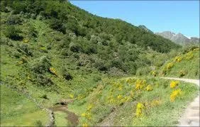 Natural landscape in Alojamiento Calzada Romana
