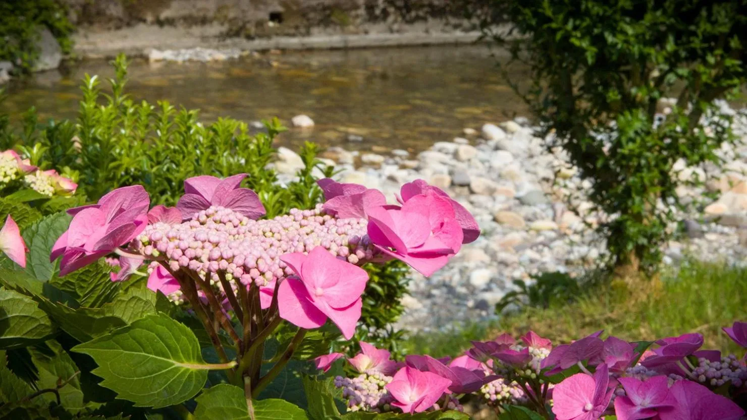 Spring in Alojamiento Calzada Romana