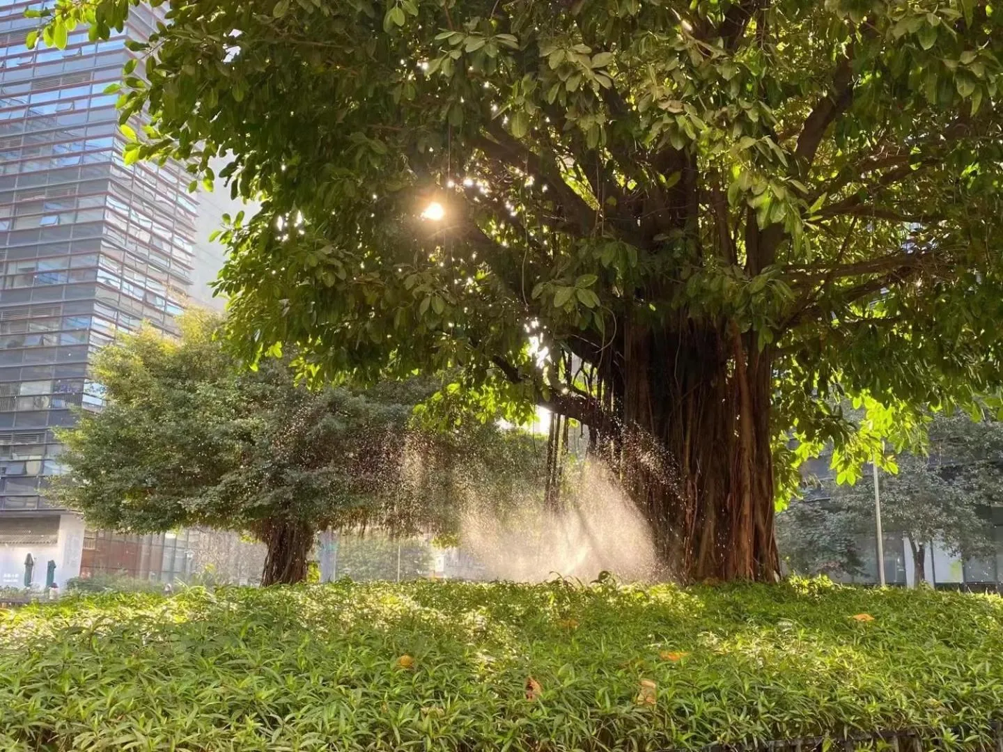 Hiking in Atour Hotel Shenzhen Nanshan Shekou