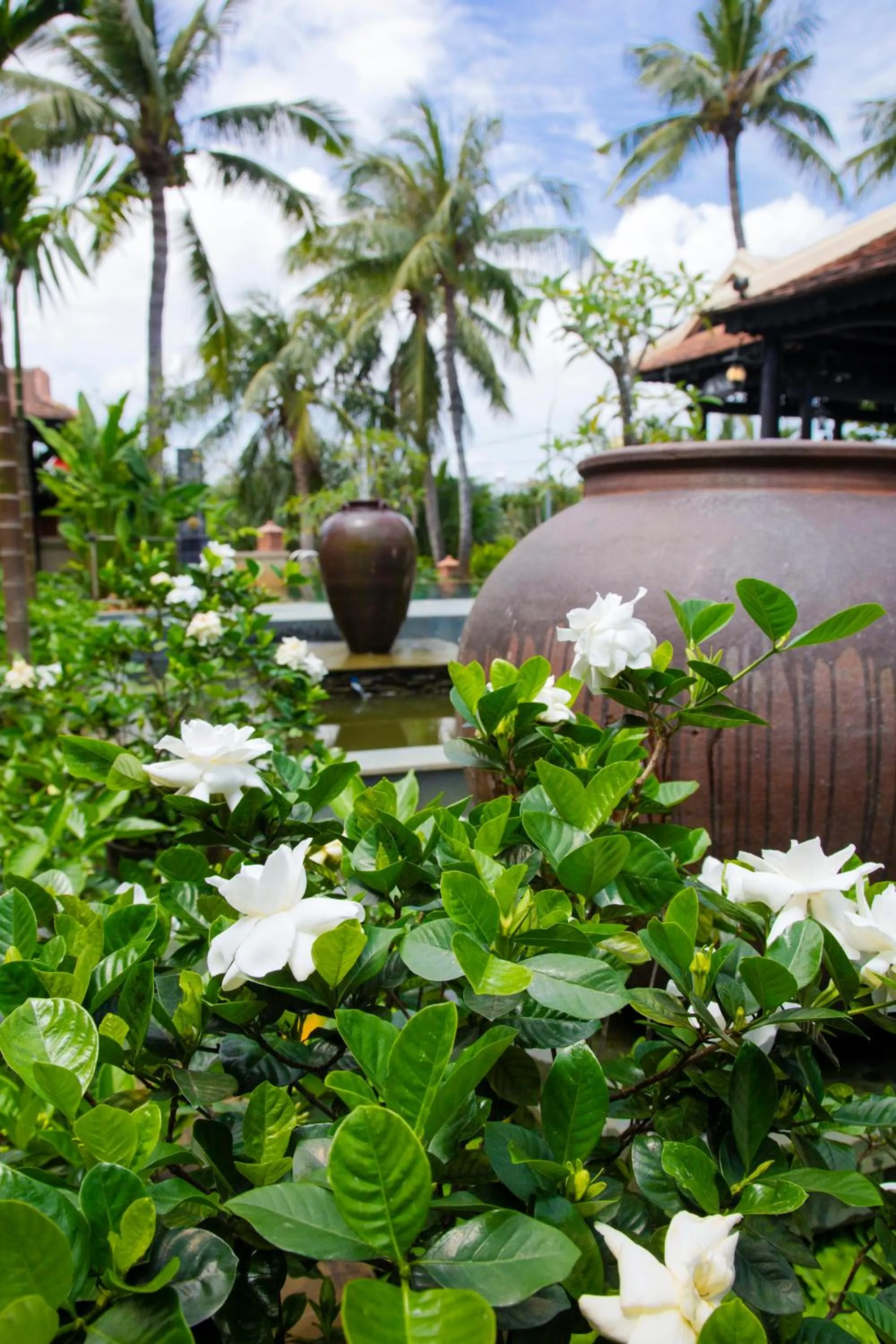 Patio in Sứ Retreat Hoi An - Riverfront Resort