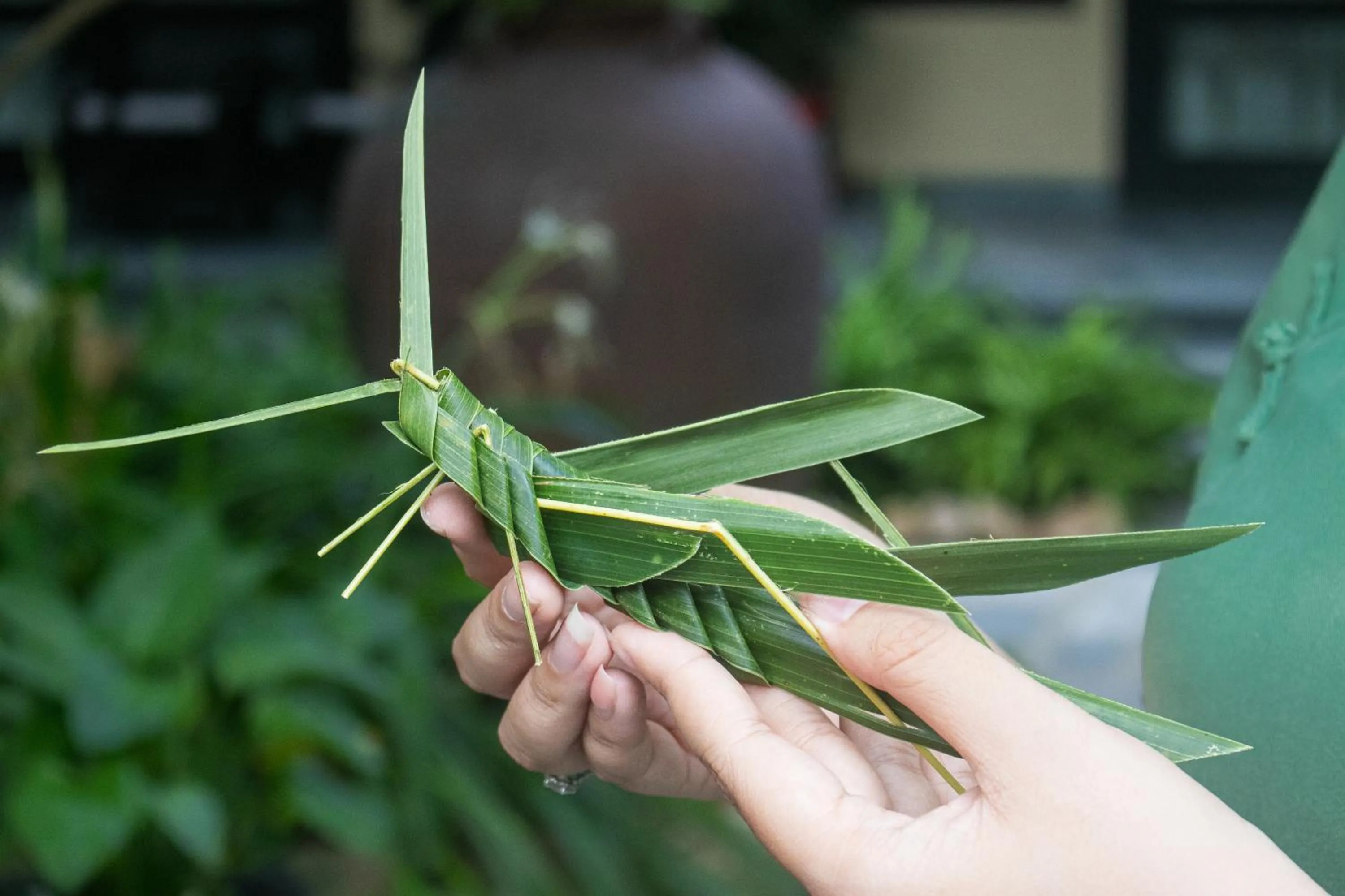 Entertainment in Sứ Retreat Hoi An - Riverfront Resort