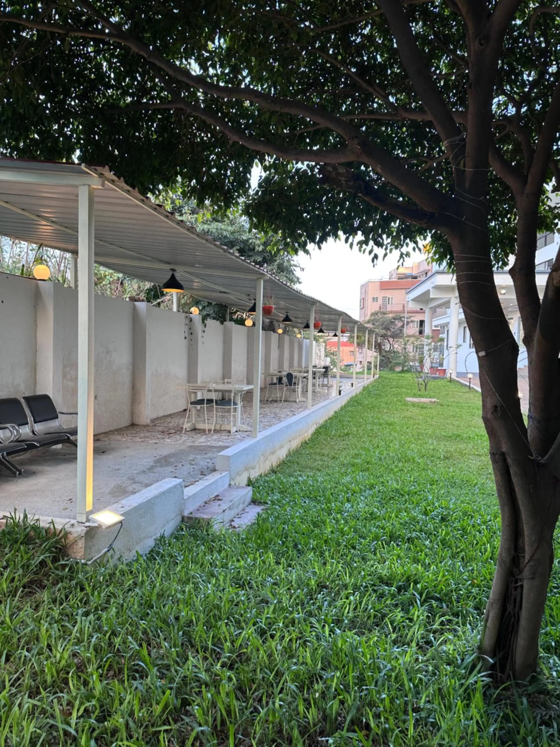 Garden in ZEKE HOTELS