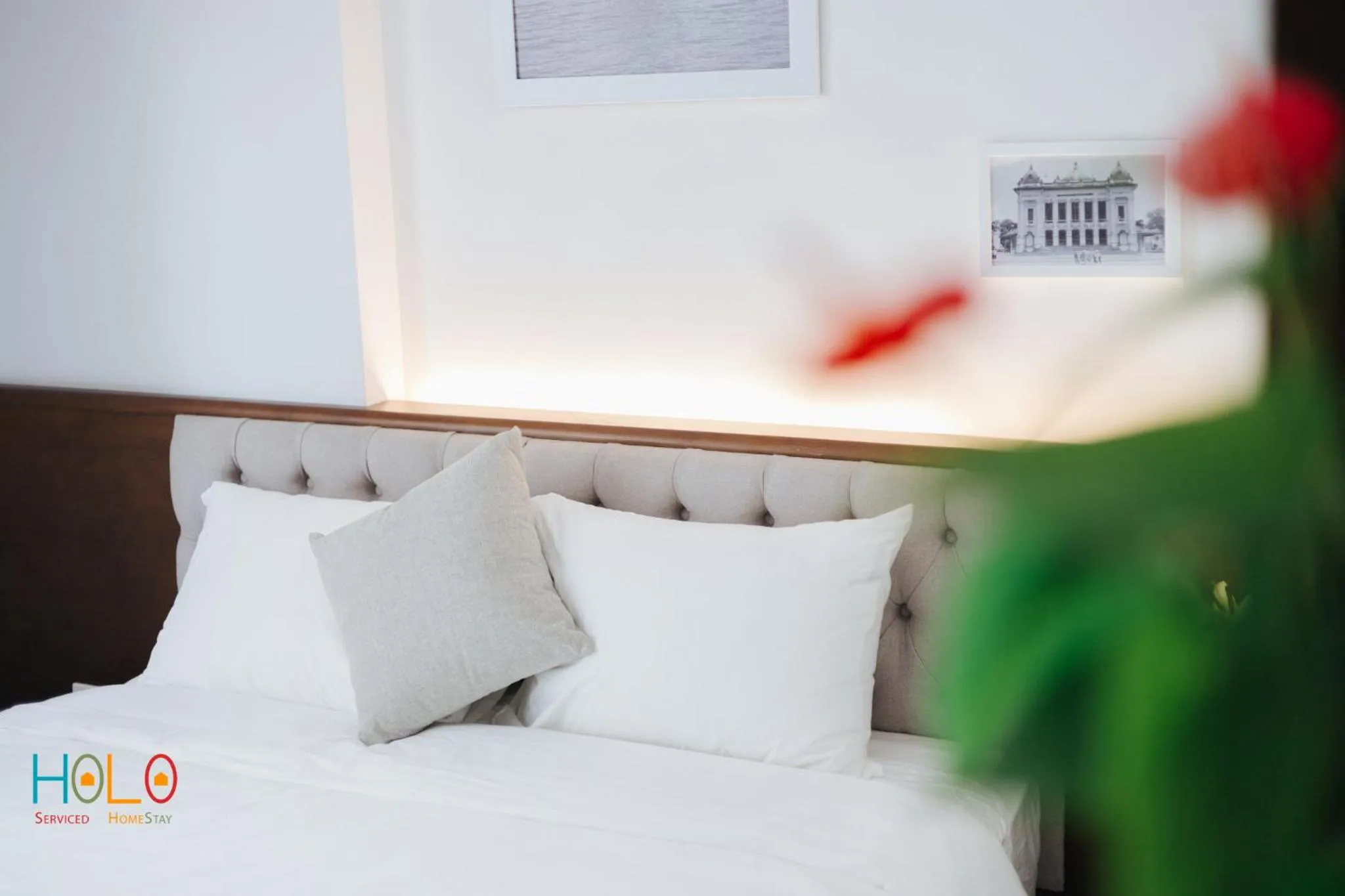 Bed in HoLo Central Hanoi - Serviced HomeStay