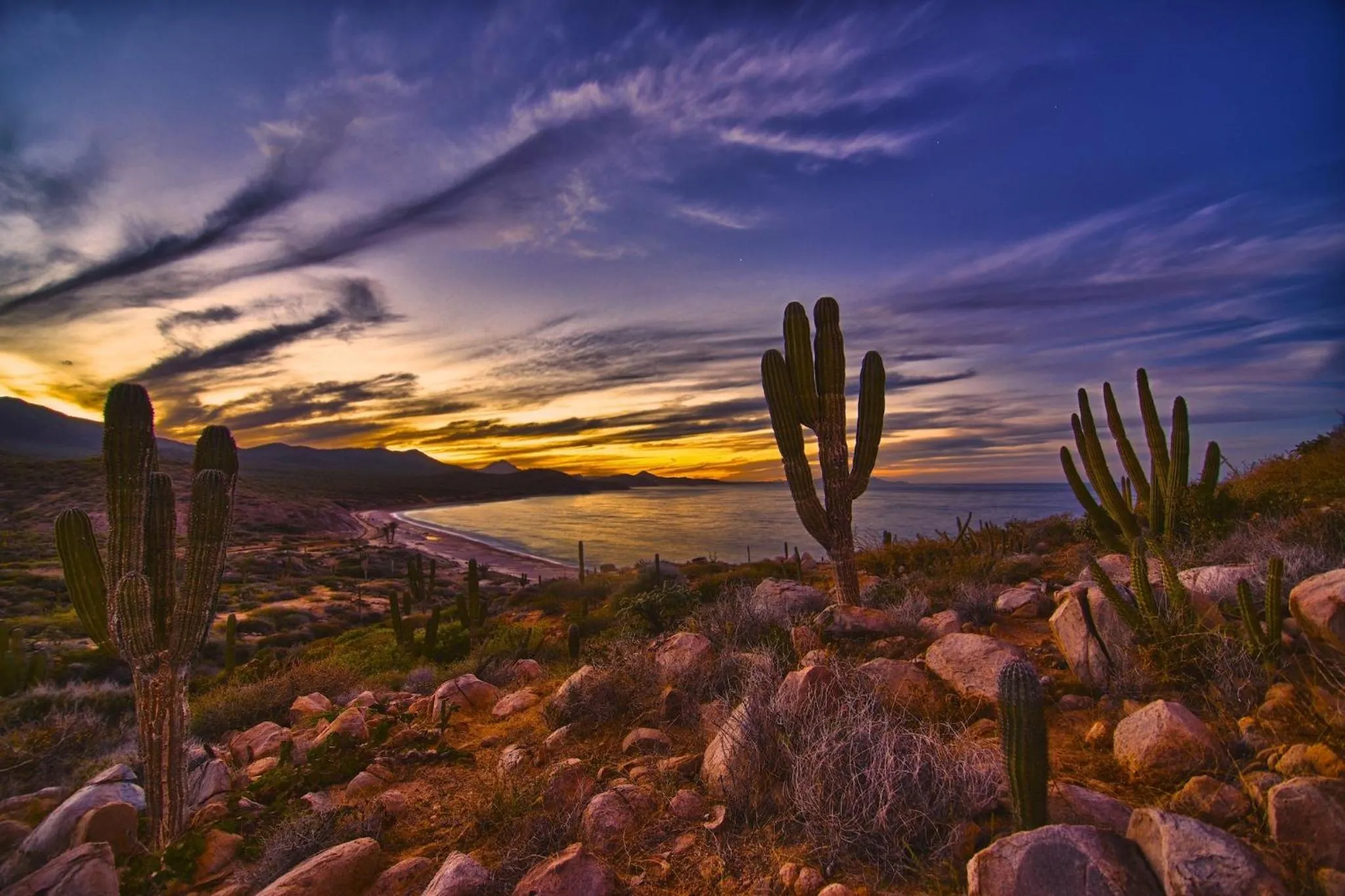 Natural landscape in Rancho Las Cruces