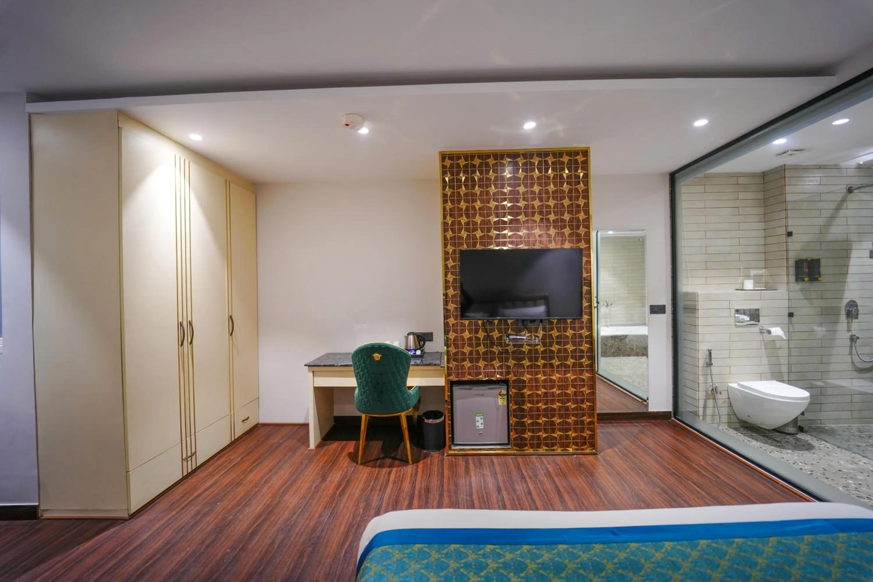 TV and multimedia in Clay Inn Hotels, Paschim Vihar