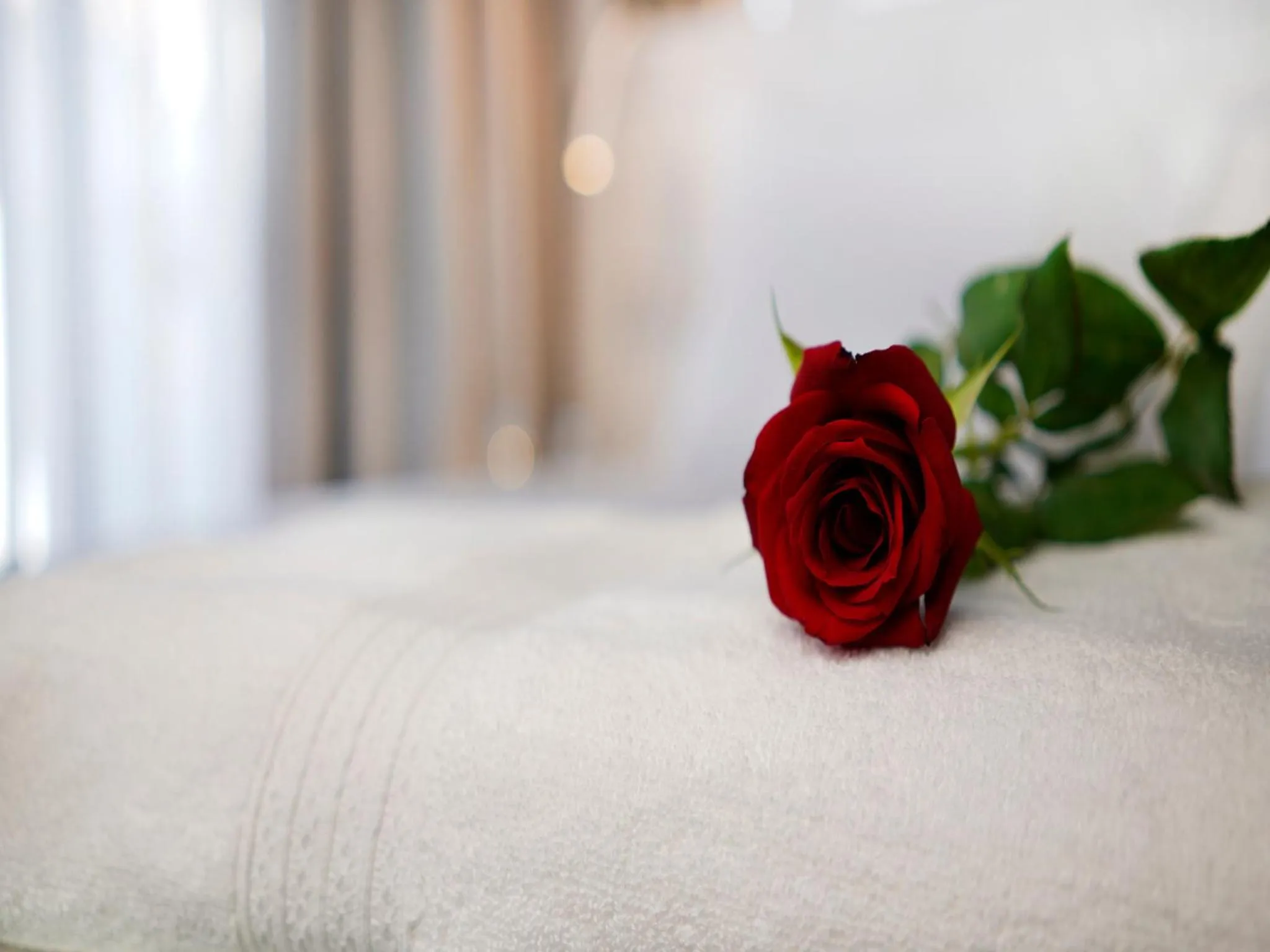 Bed in Petit Palace Suites Hotel