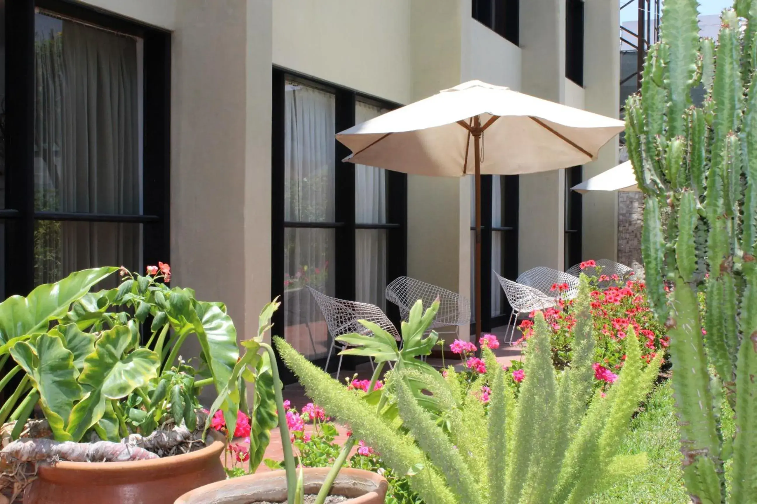 King Room with Pool View in Holiday Suites King Room with Pool View in Holiday Suites