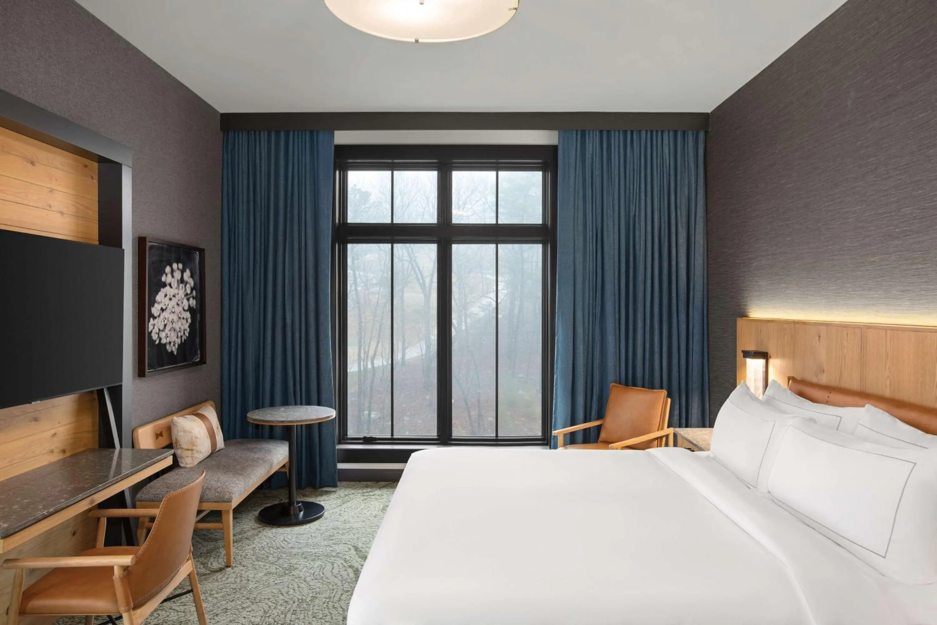 Photo of the whole room, Bed in Cloudland at McLemore Resort Lookout Mountain, Curio by Hilton