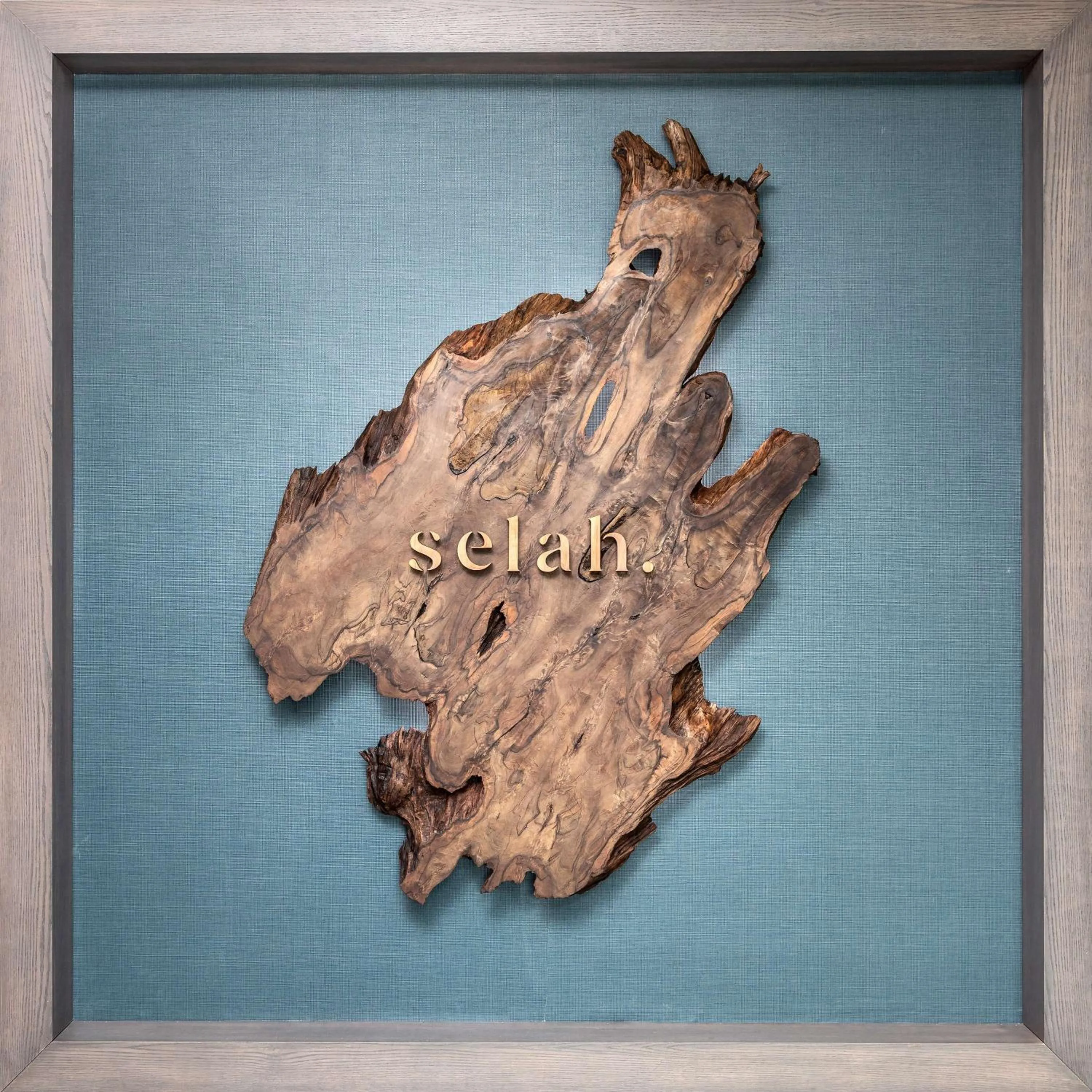 Sports in Cloudland at McLemore Resort Lookout Mountain, Curio by Hilton