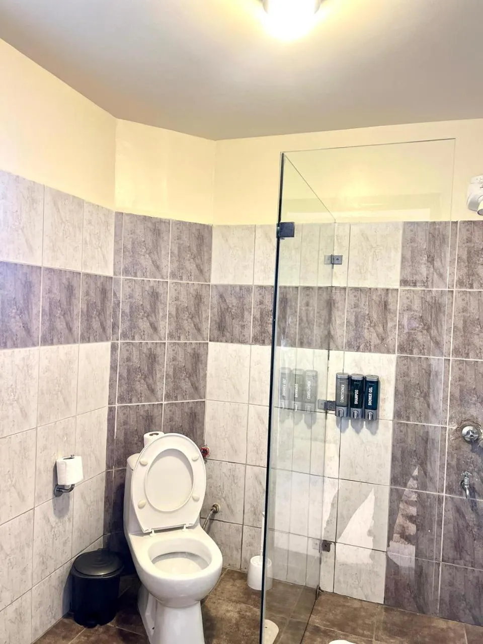 Toilet in Hadassah Hotel