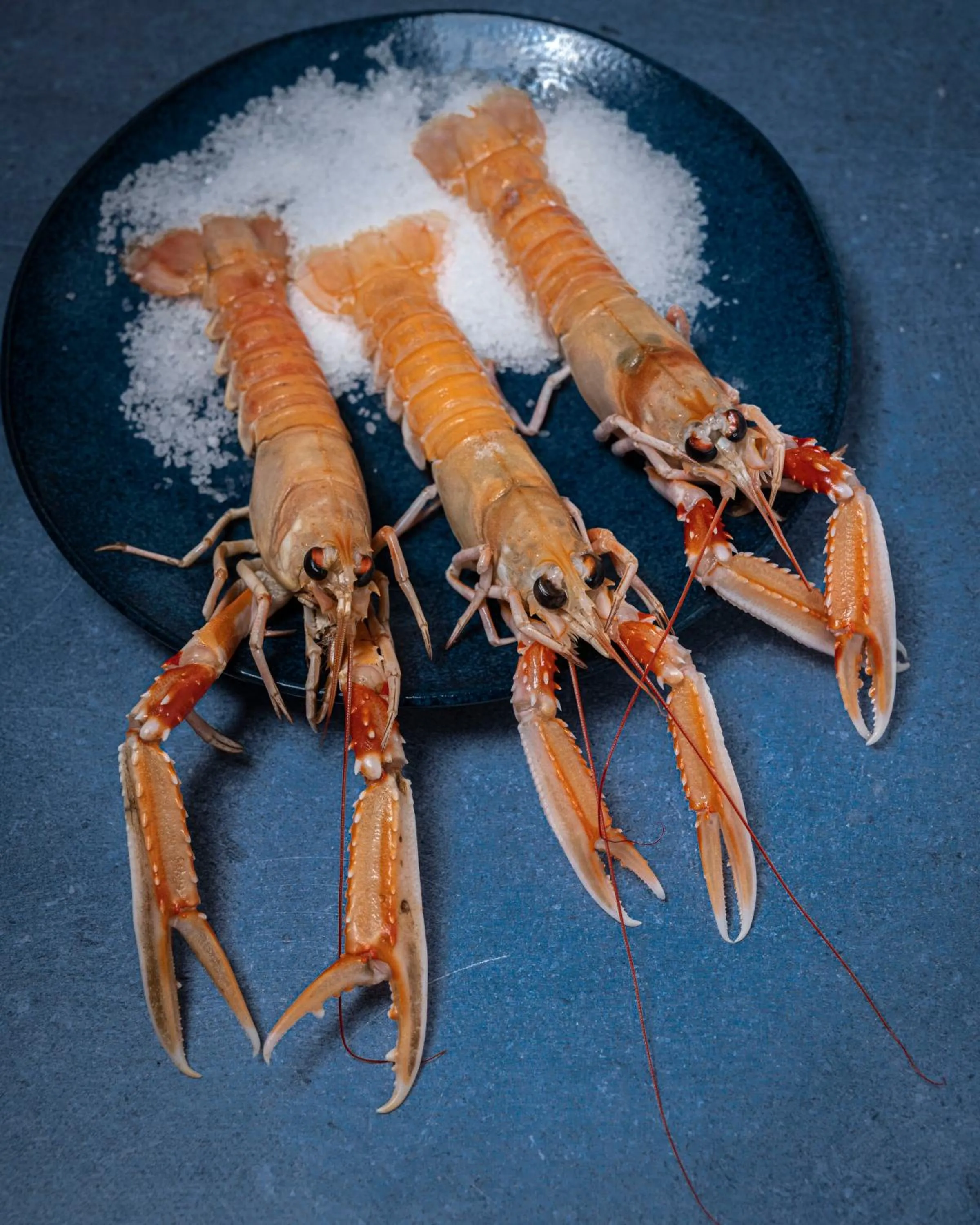 Restaurant/places to eat in Hotel & Restaurant Wildthout