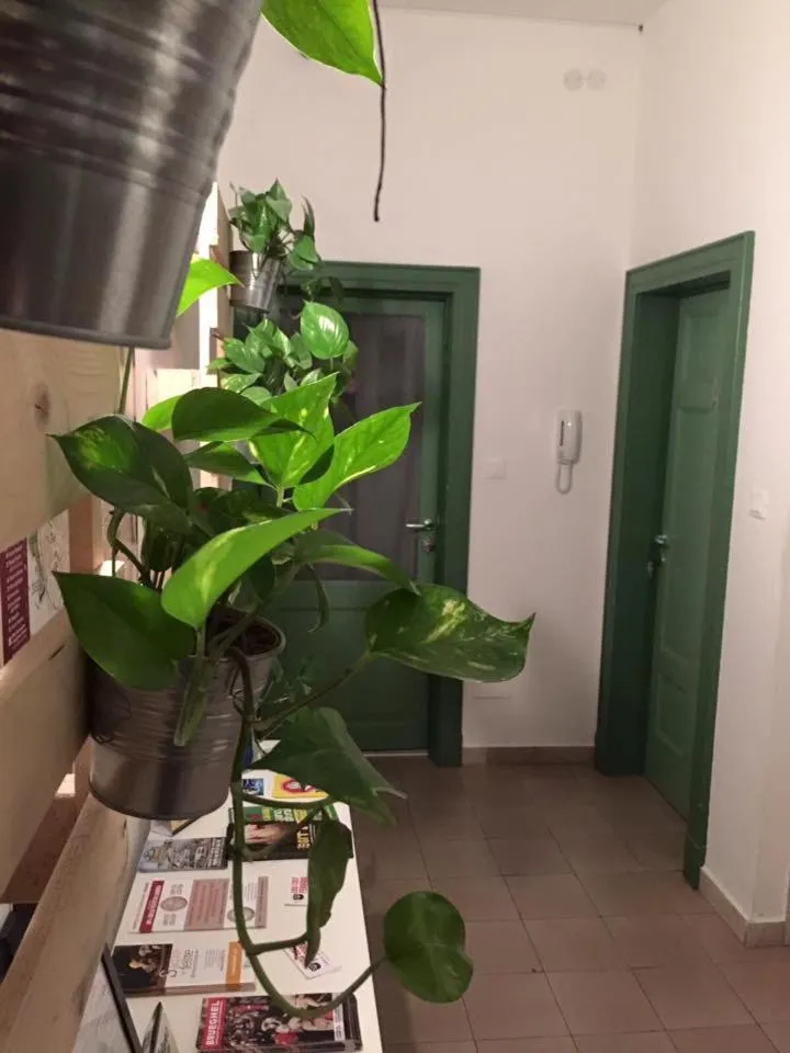 Lobby or reception in Low Cost Ferrara