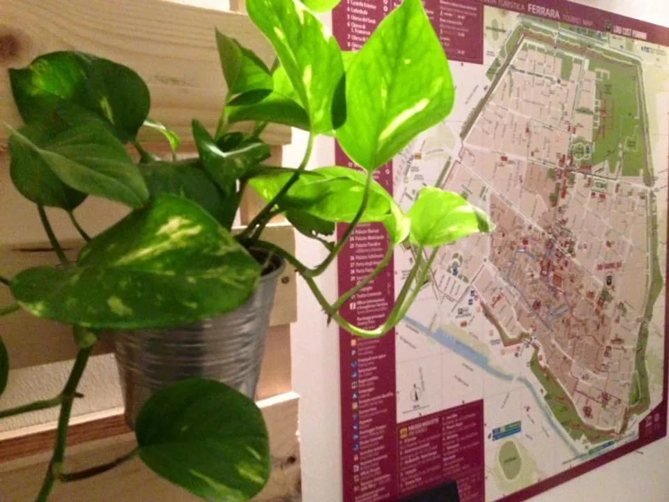 Lobby or reception in Low Cost Ferrara