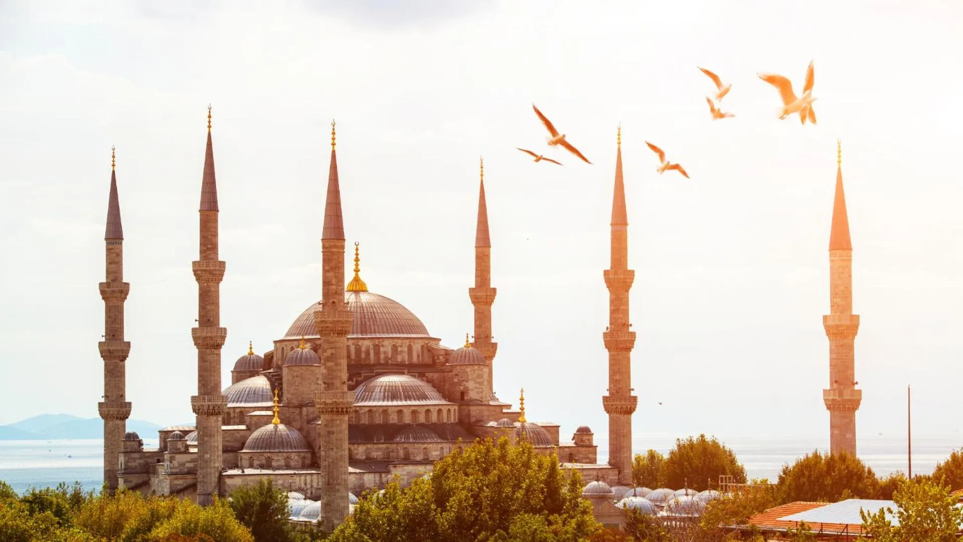 Nearby landmark in Istanbul Old City Sultanahmed Miran Hotel